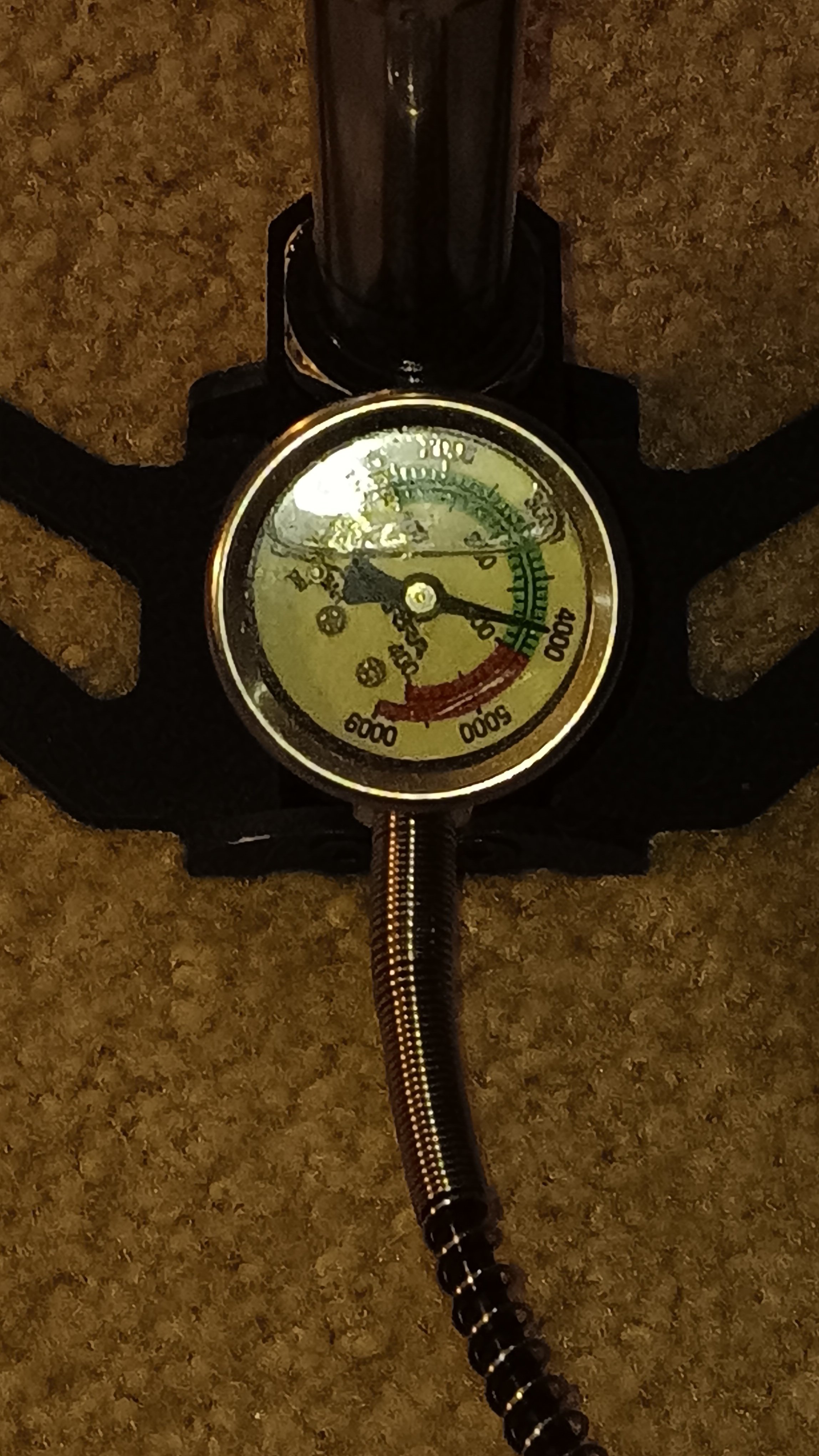 20250209_005903.jpg
