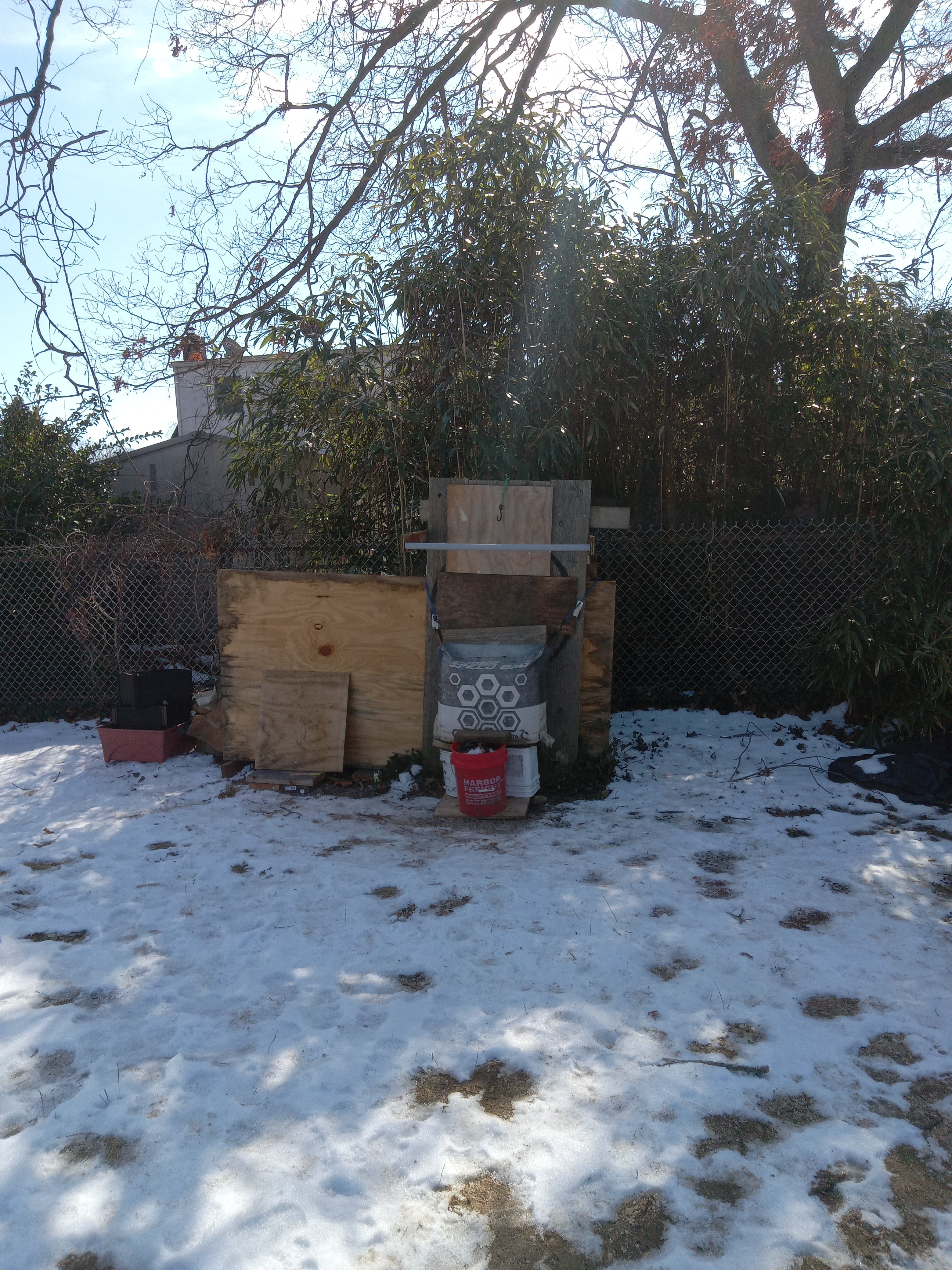20250214_122428.jpg