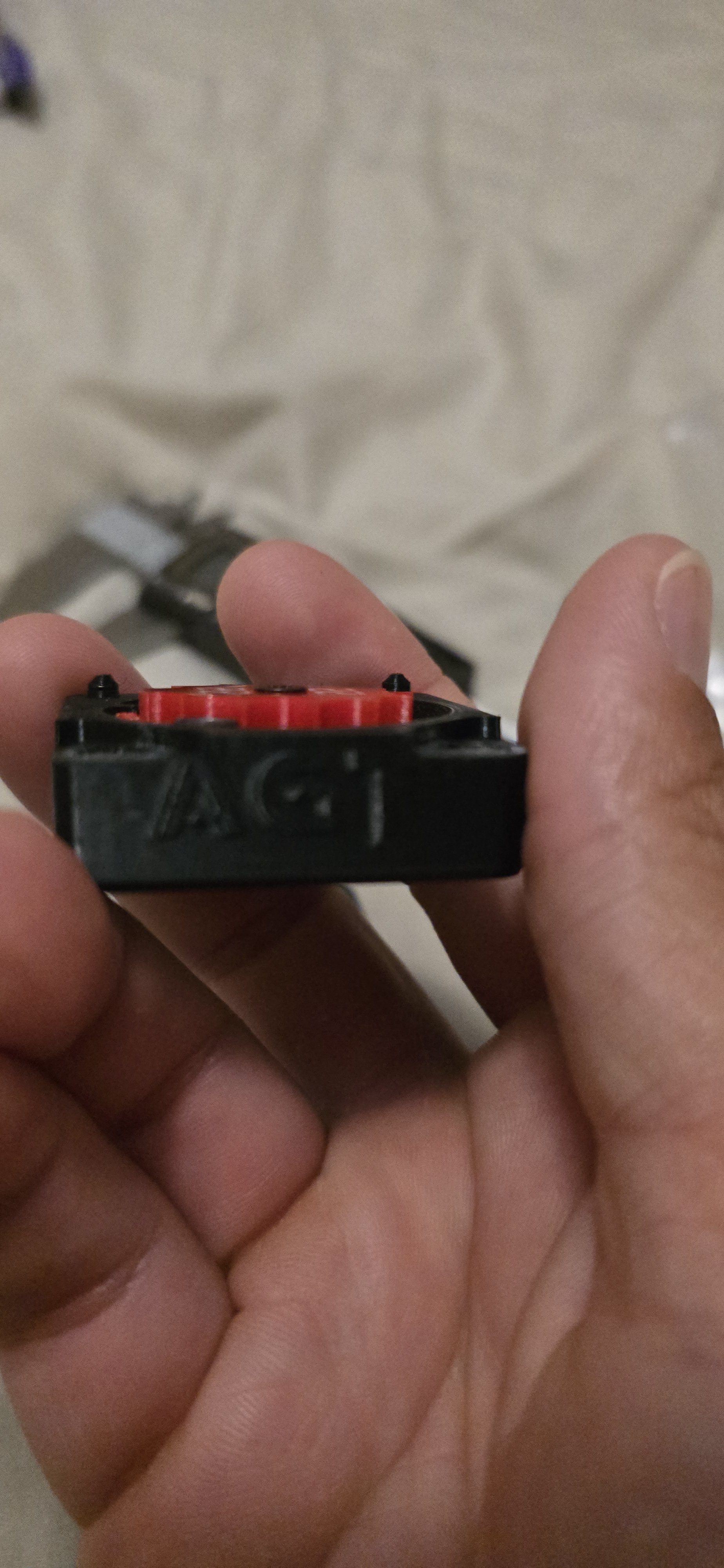 20250401_225303.jpg