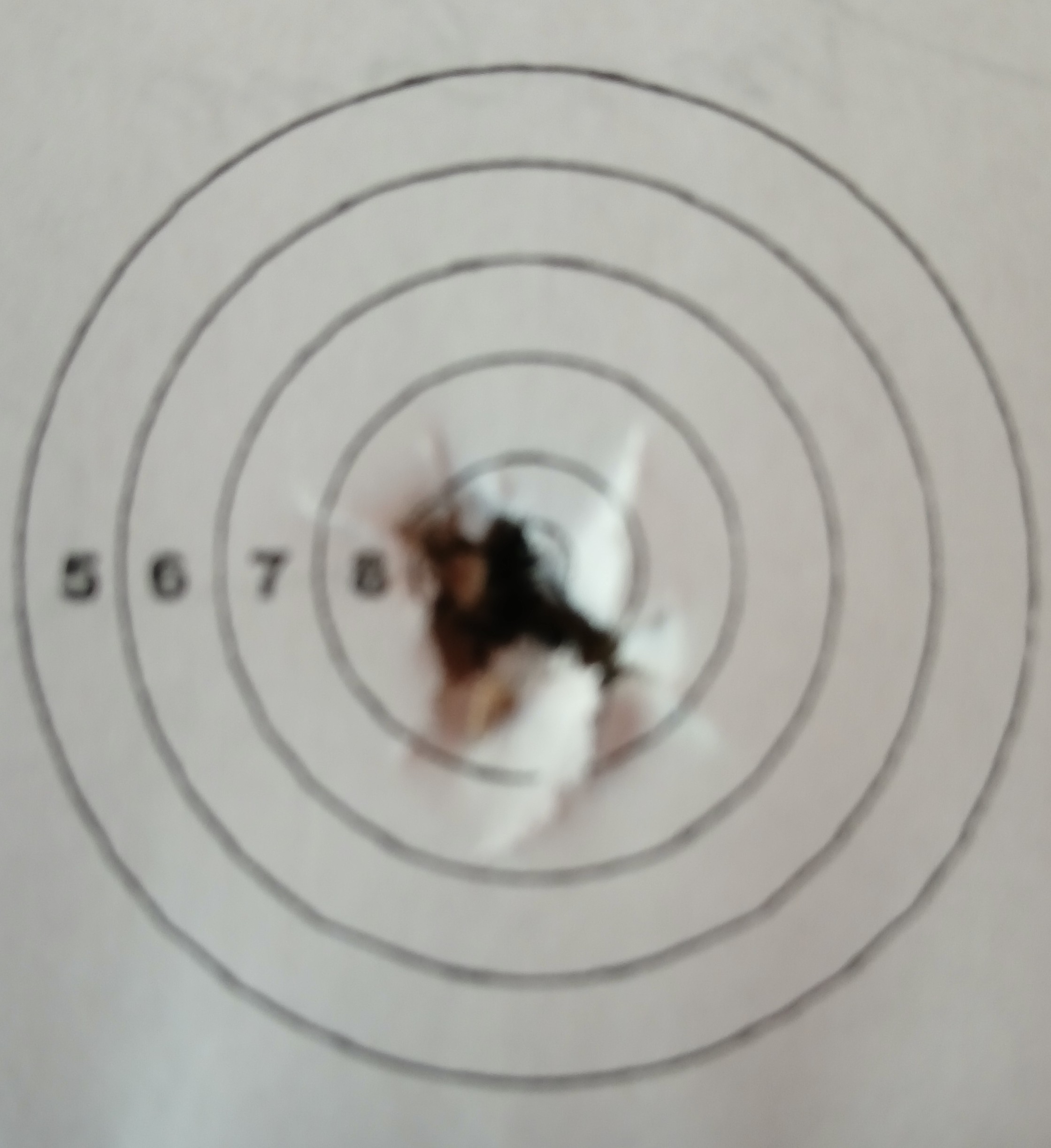 20250410_094025.jpg