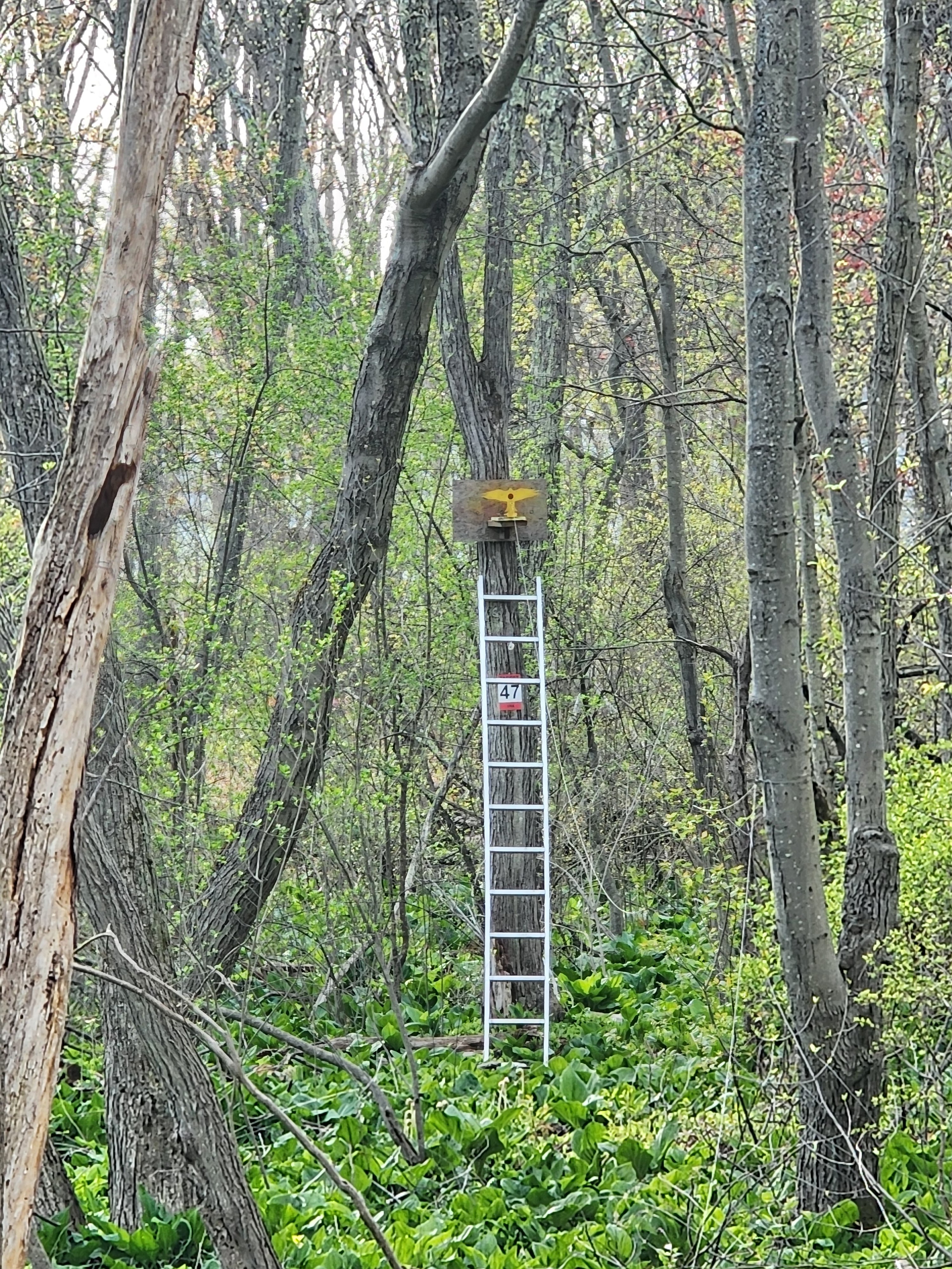 20250429_175531.jpg