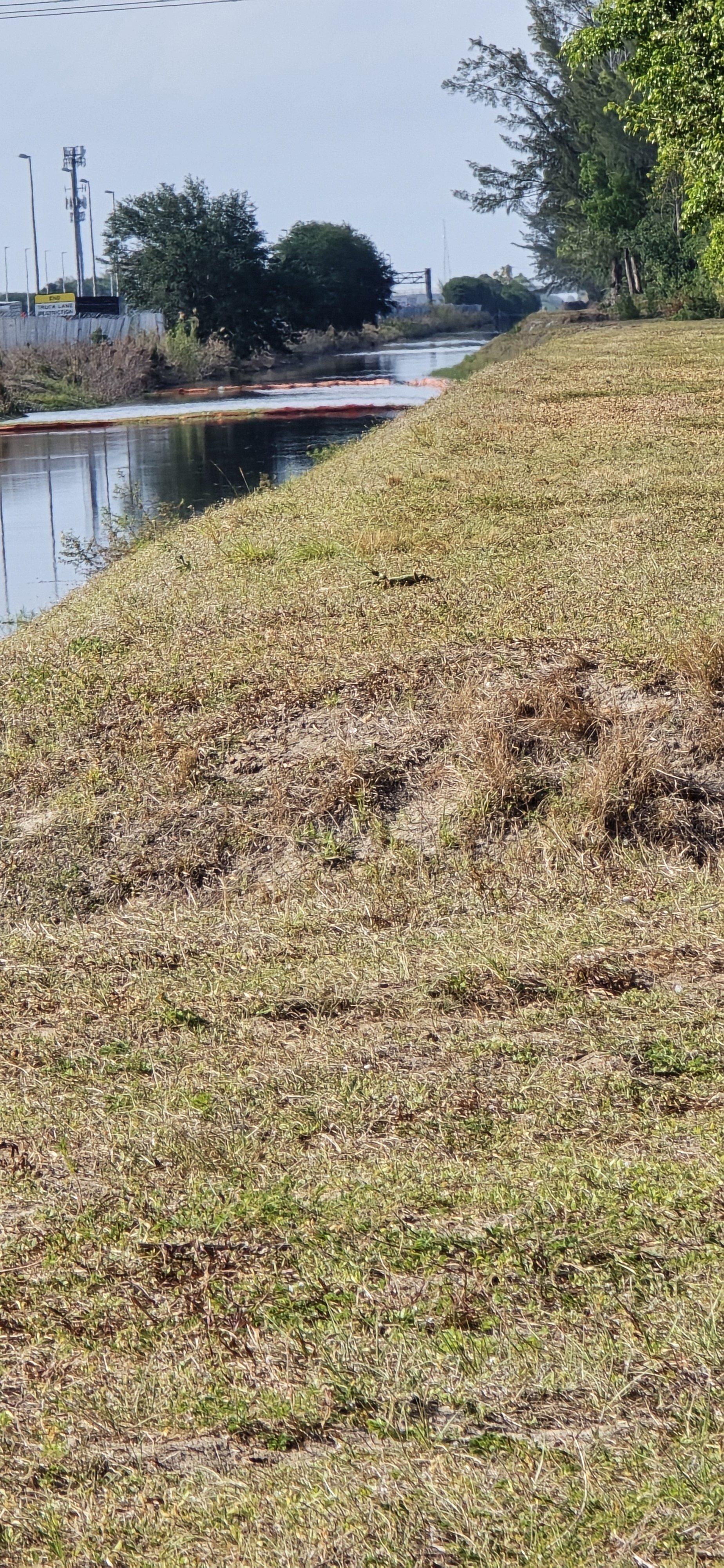 20250502_171751.jpg