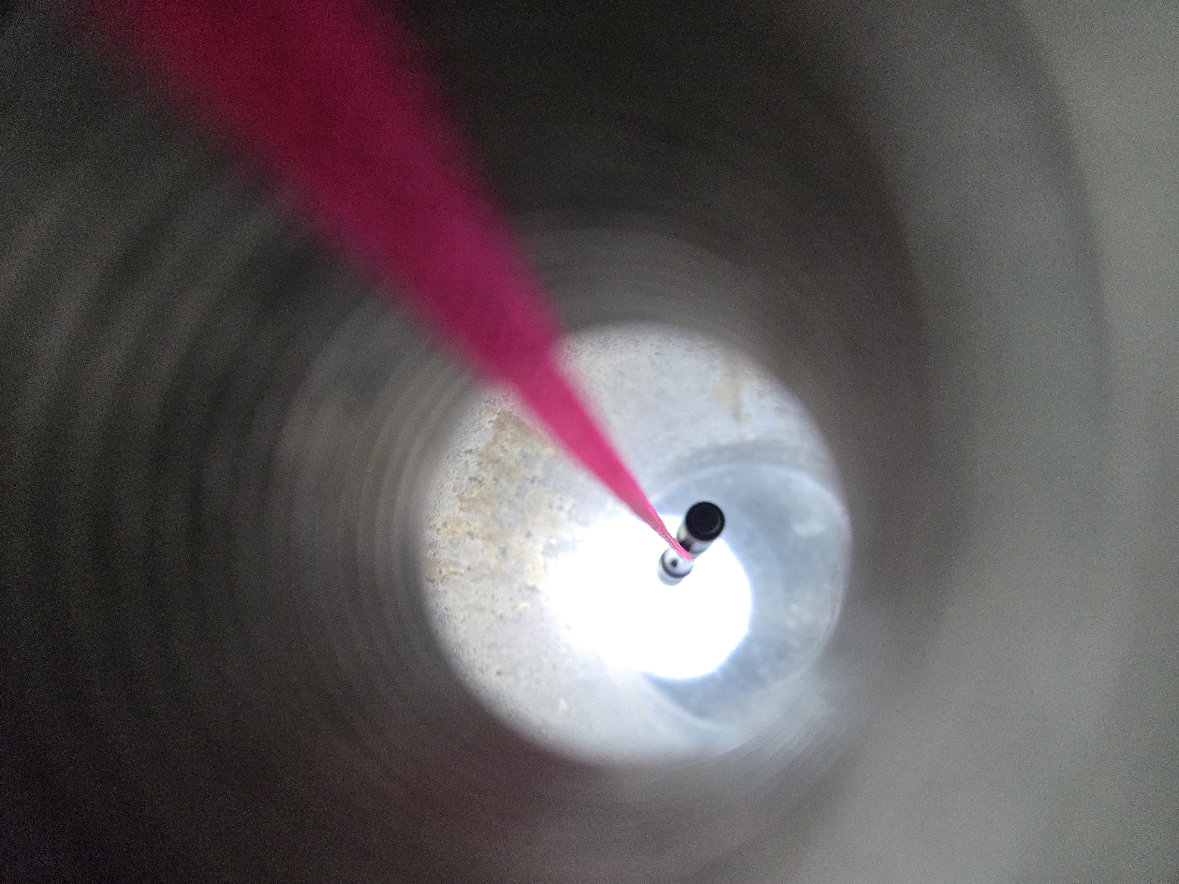 20250504_140108.jpg
