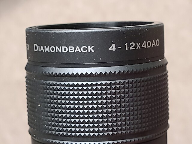 20250510_163120-small.jpg