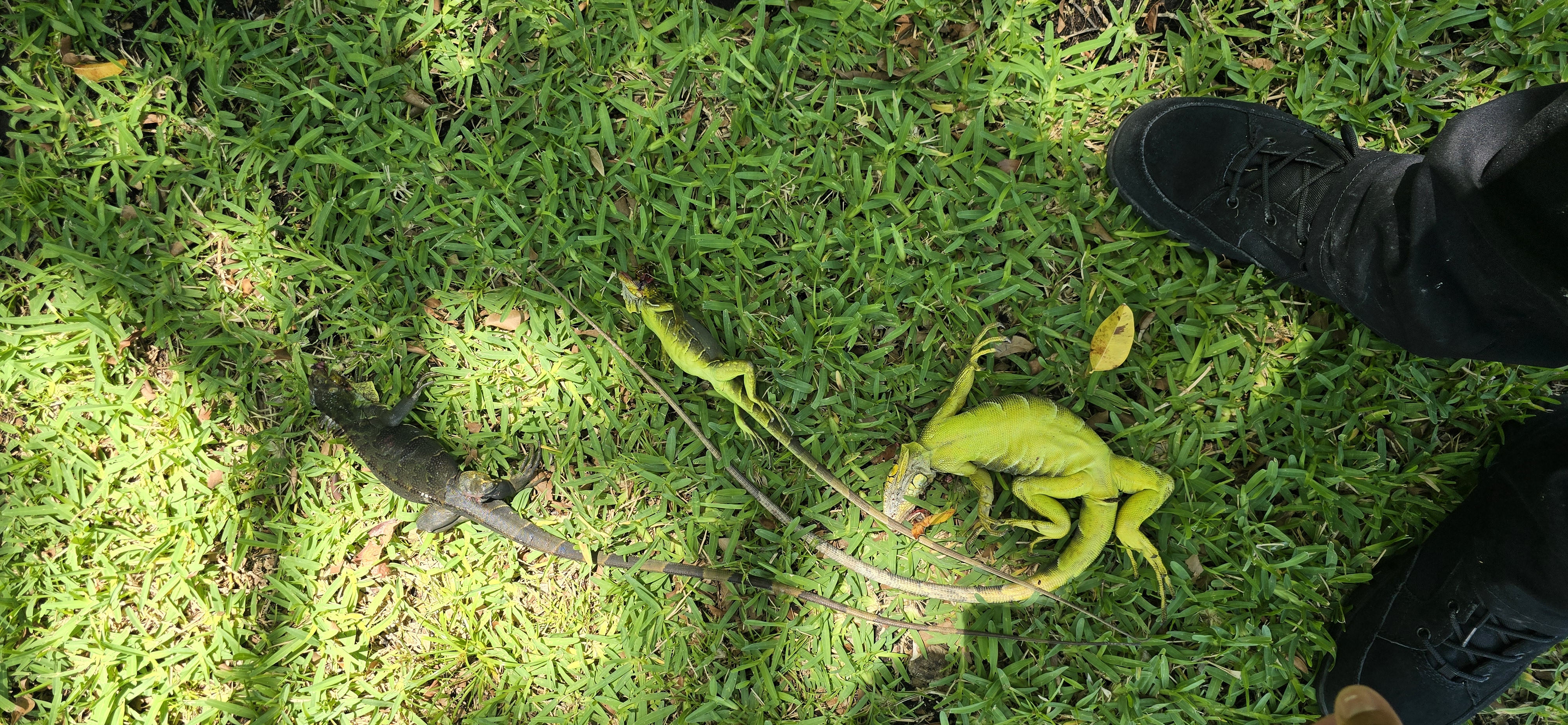 20250514_140534.jpg