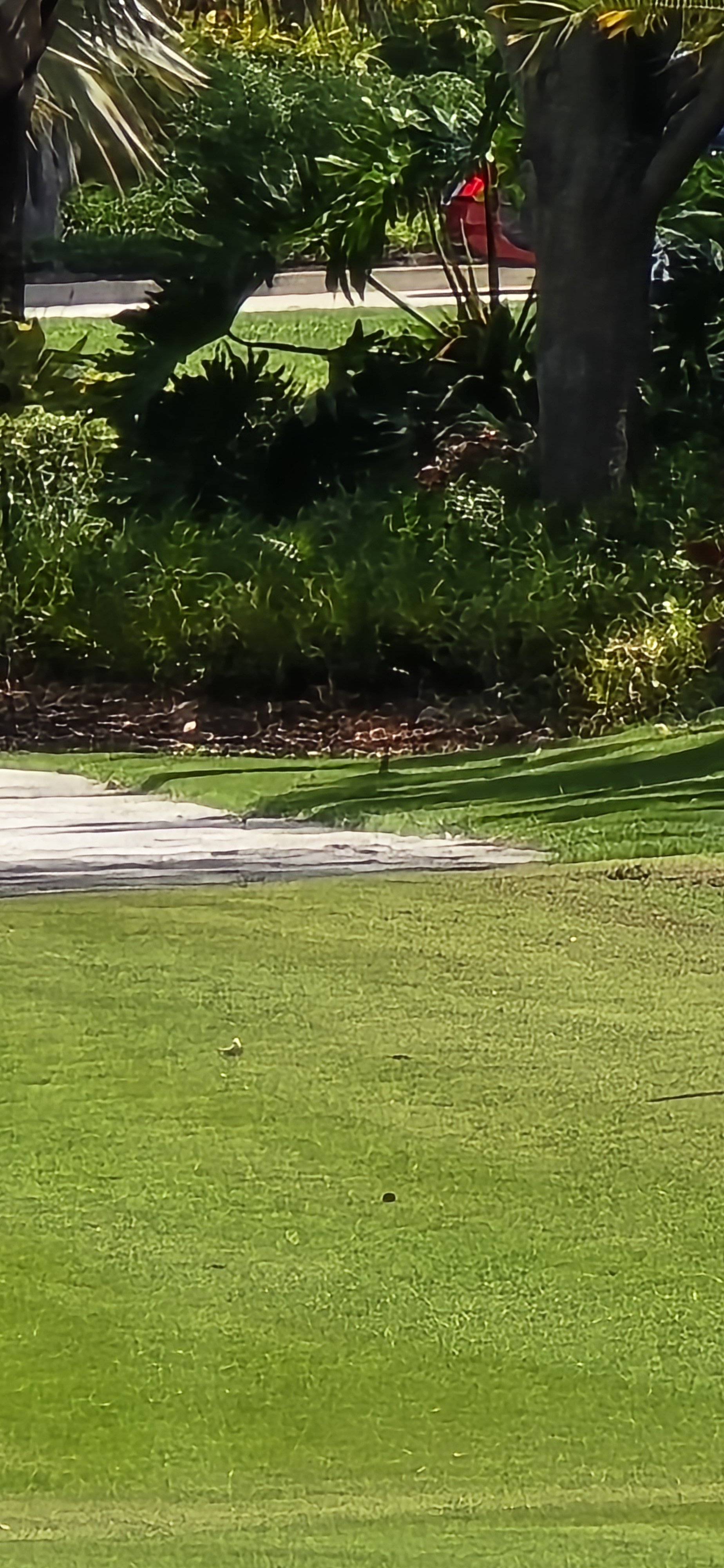 20250515_114808.jpg