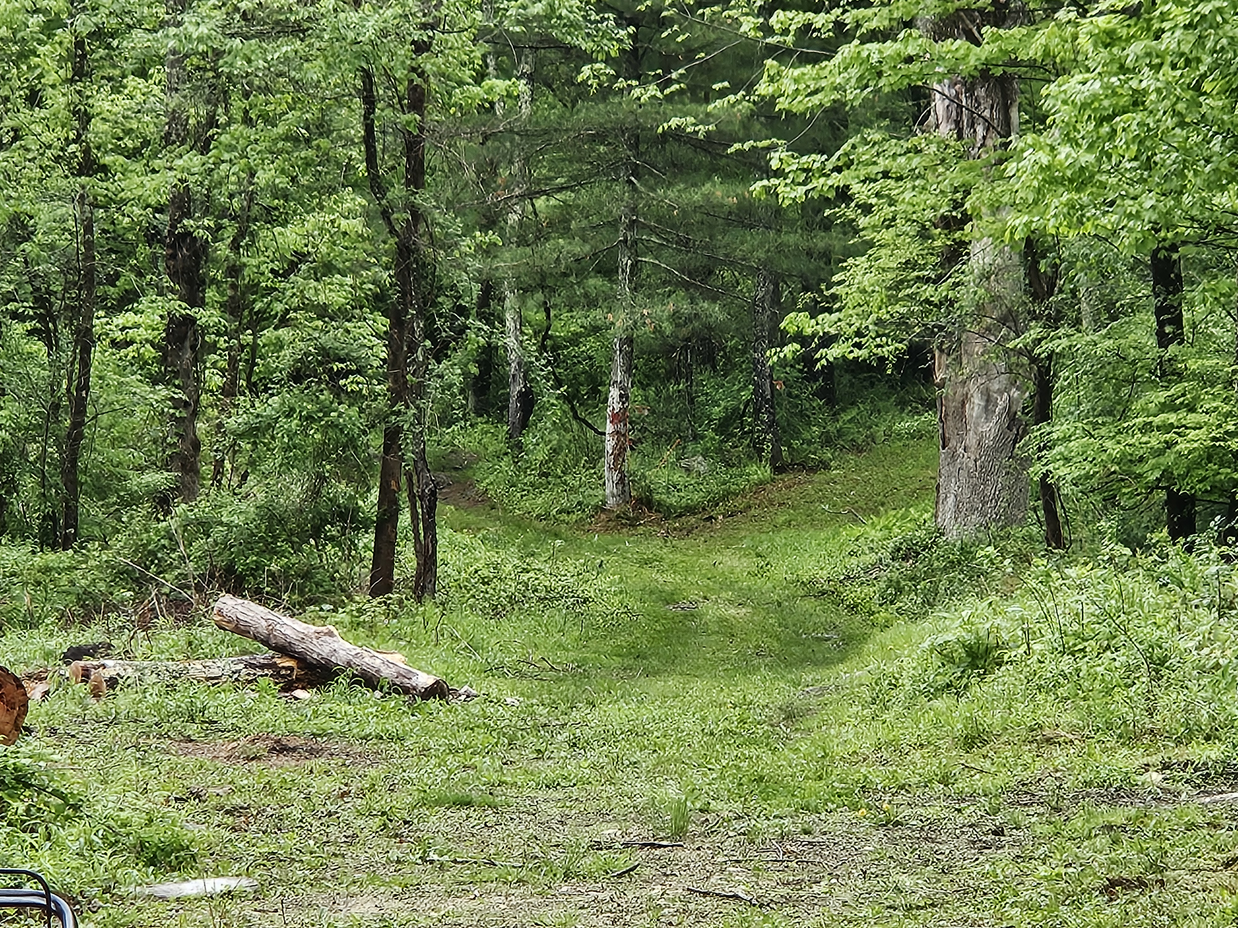 20250515_140403.jpg