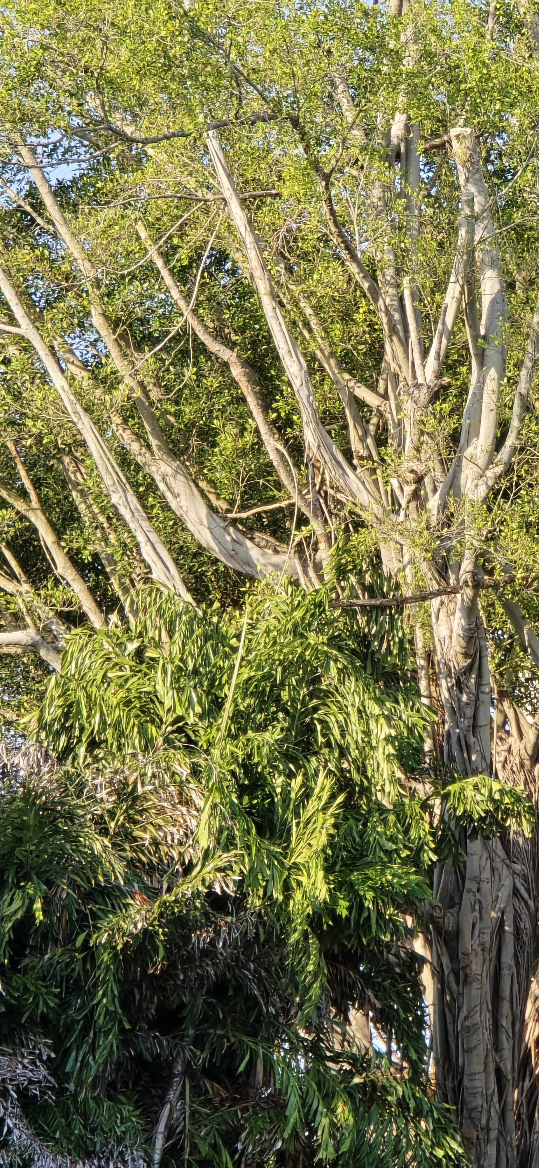 20250519_184008.jpg