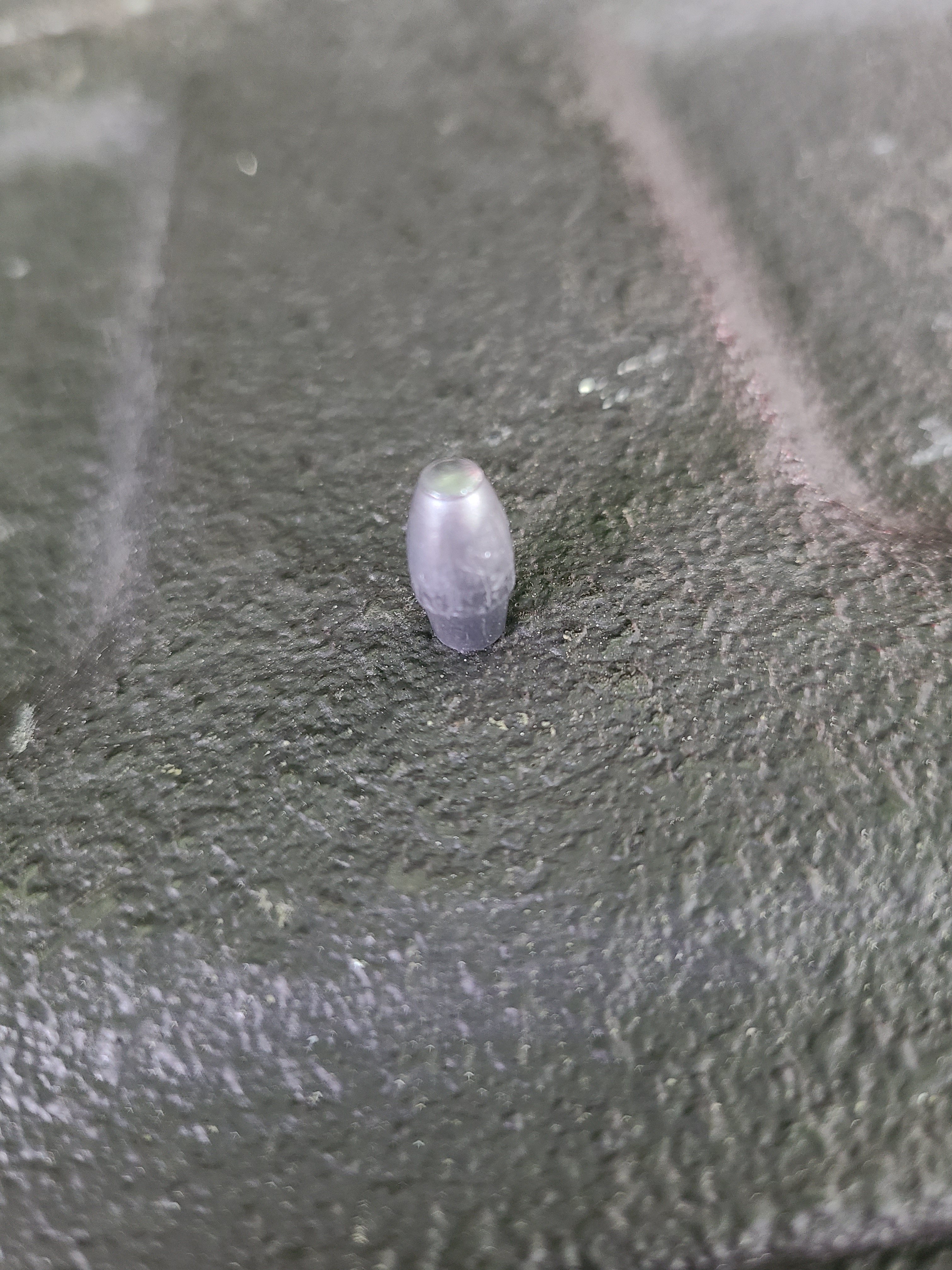 20250712_105443.jpg