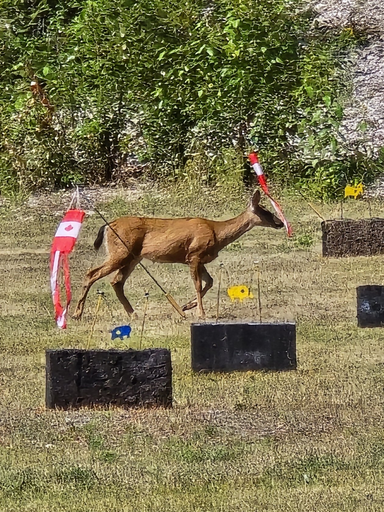 20250716_105407.jpg