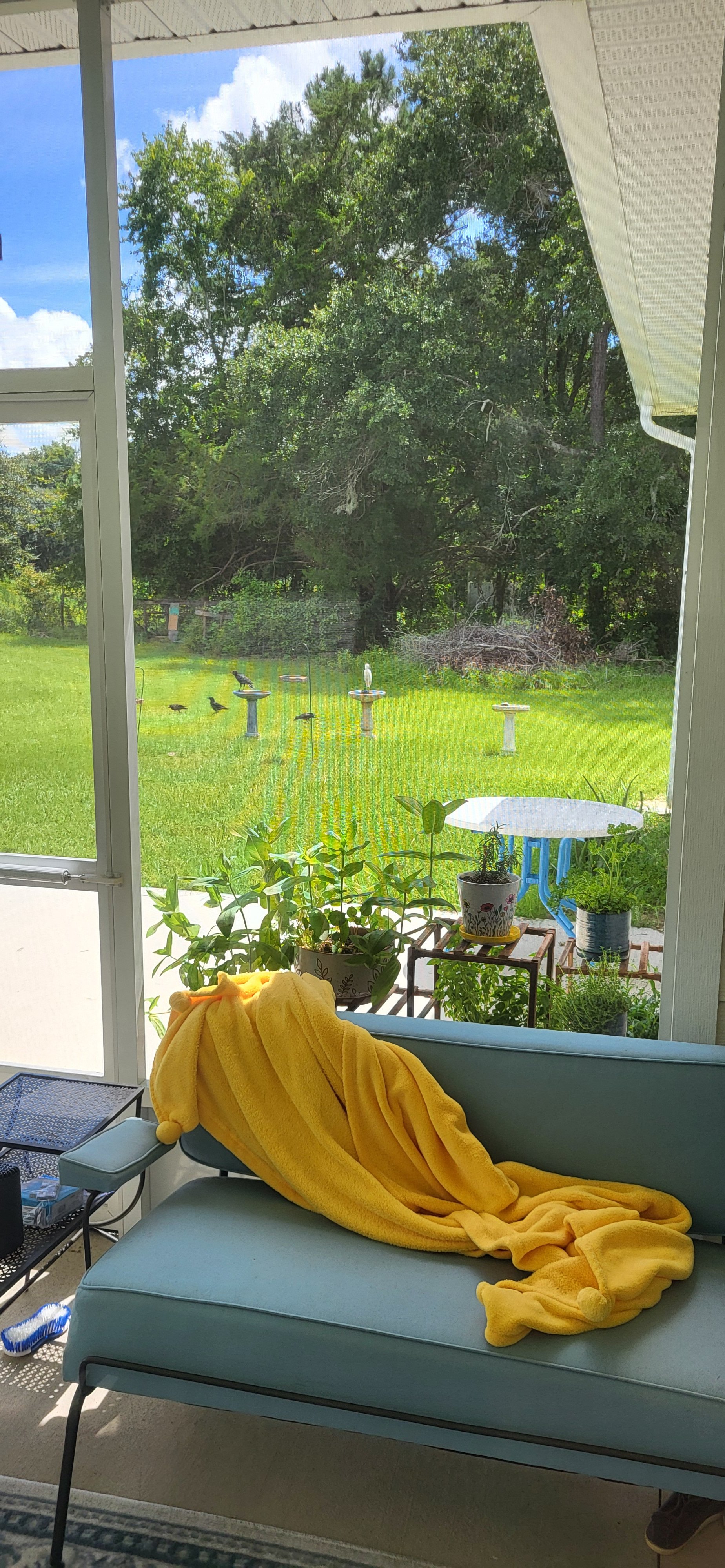 20250717_120034.jpg