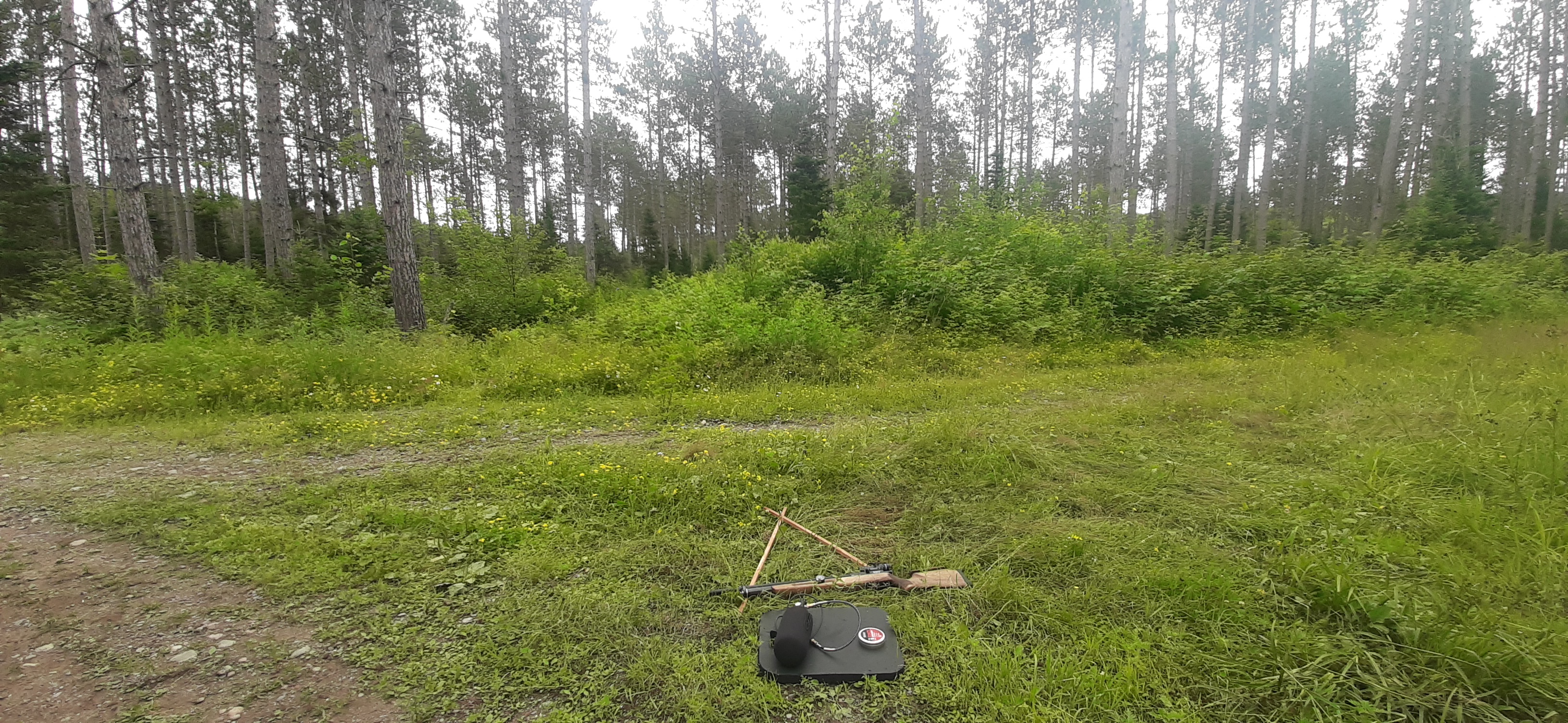 20250719_122717.jpg