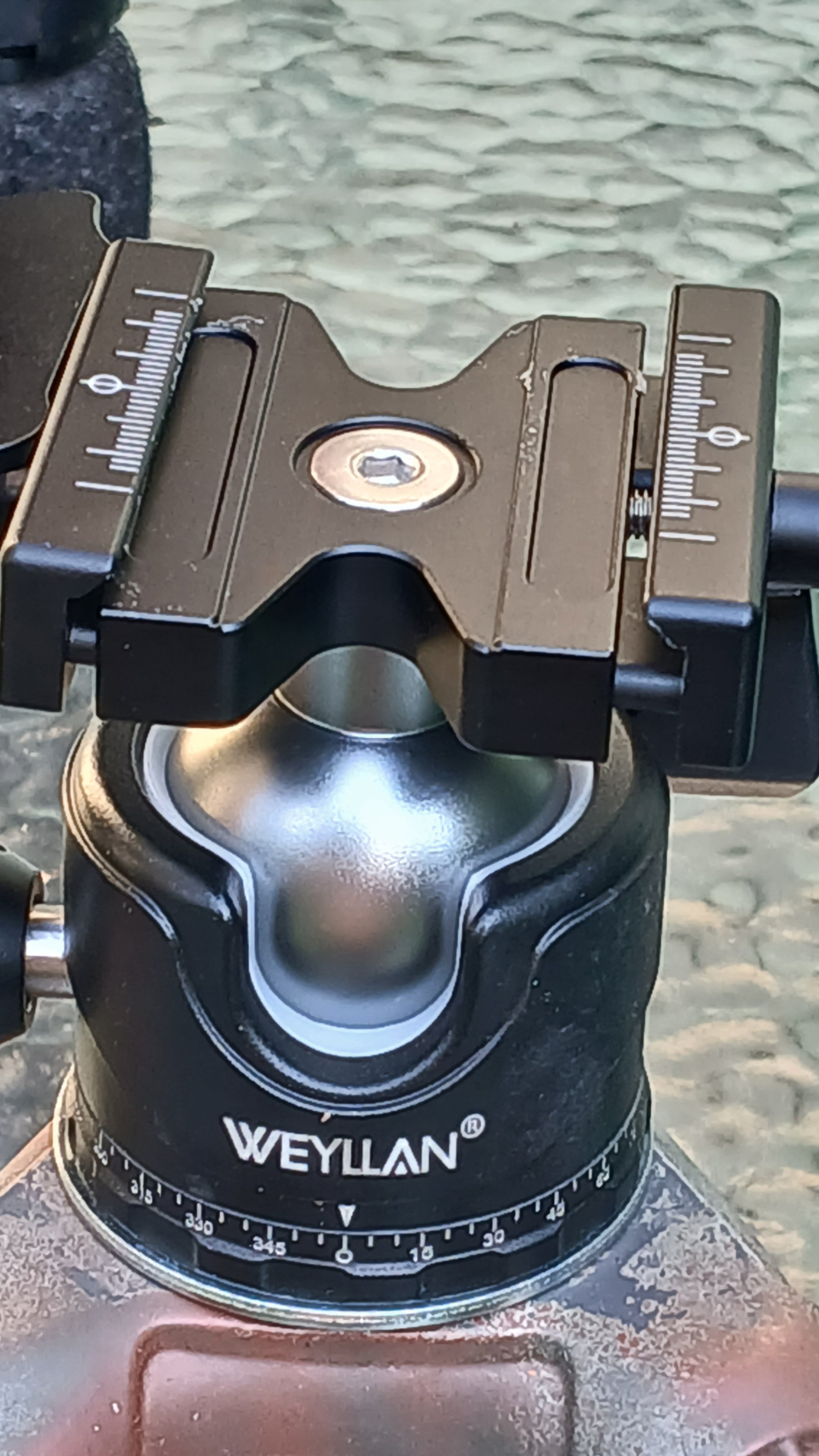 20250729_175416.jpg