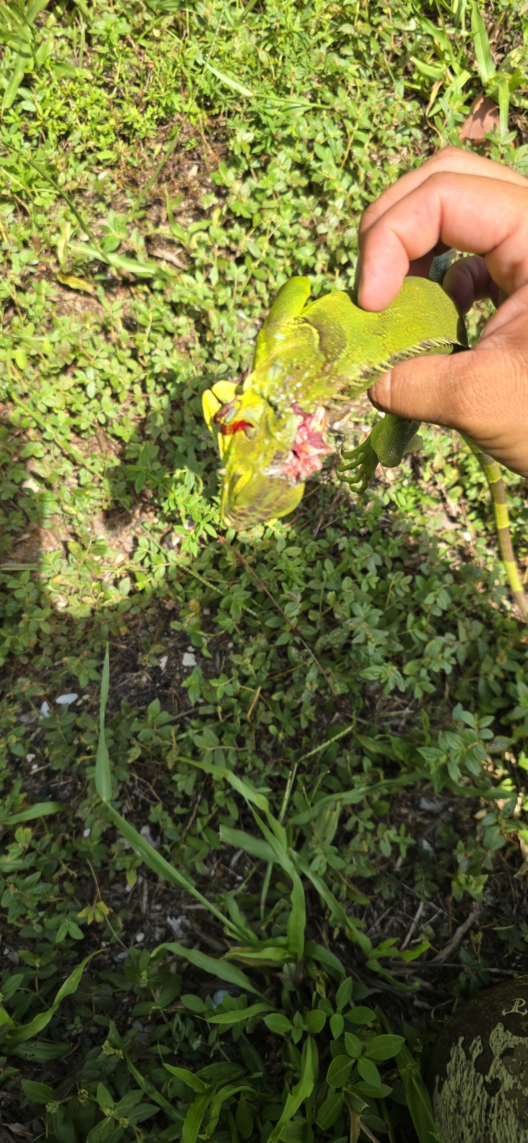 20250825_153147.jpg