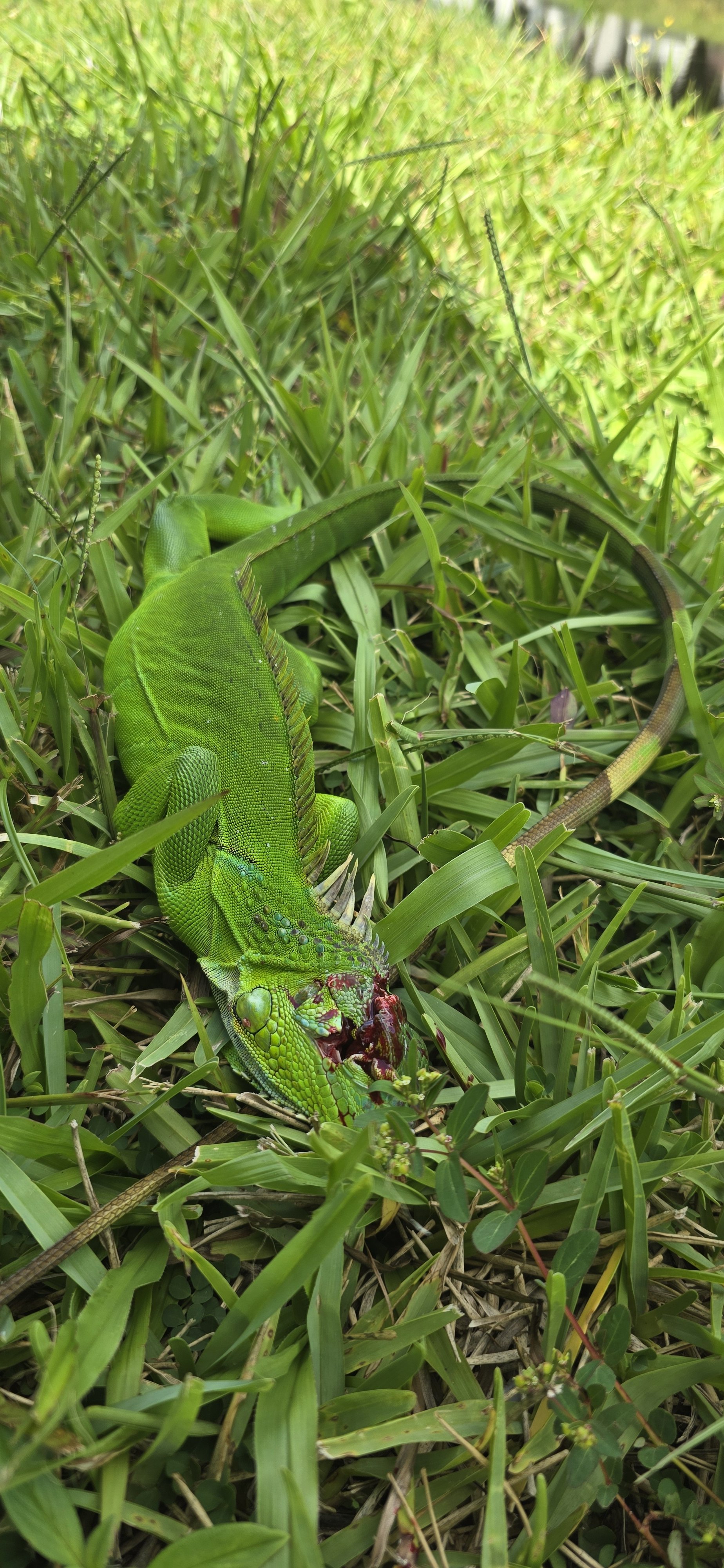 20250829_145130.jpg