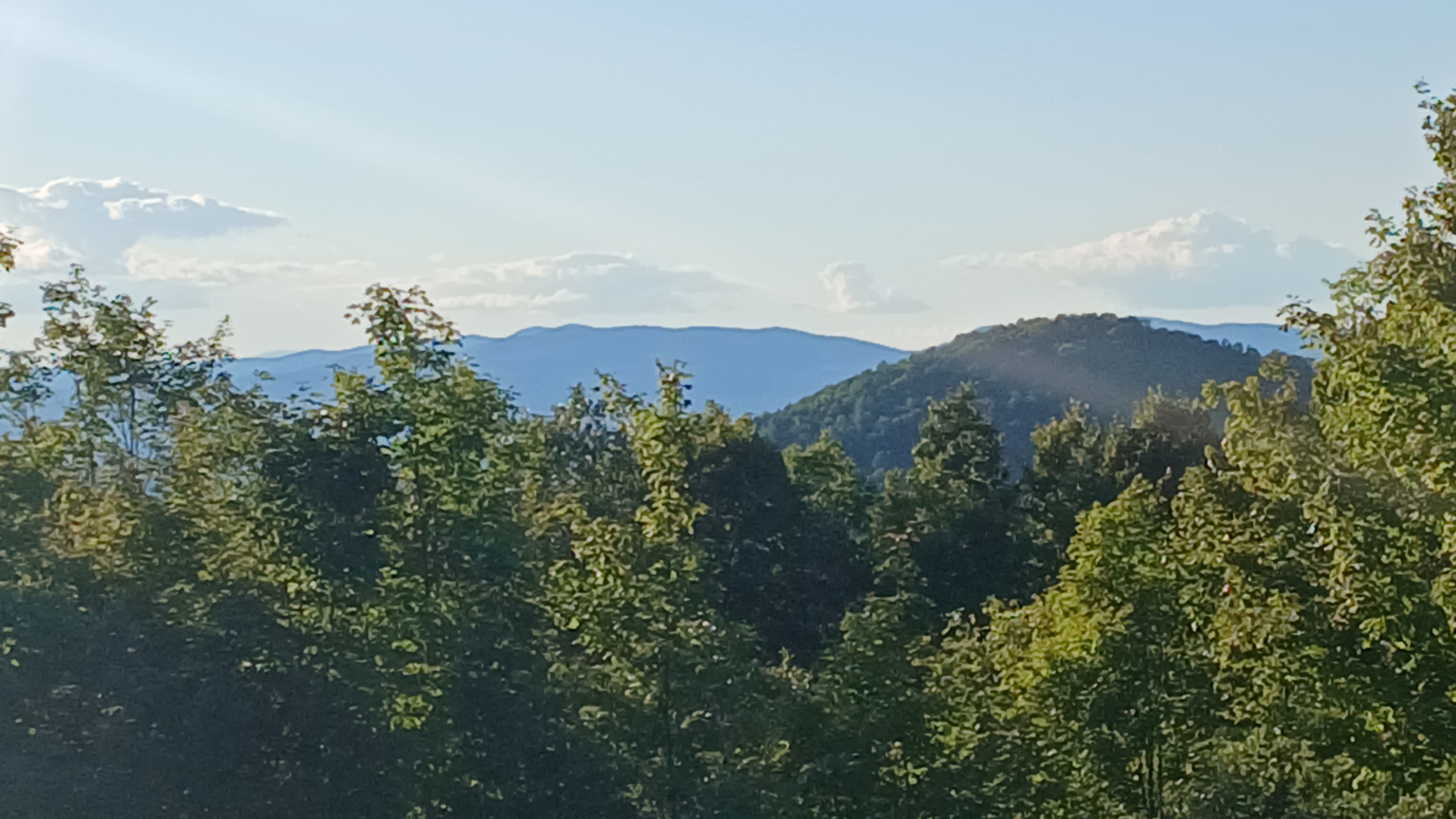 20250831_181120.jpg