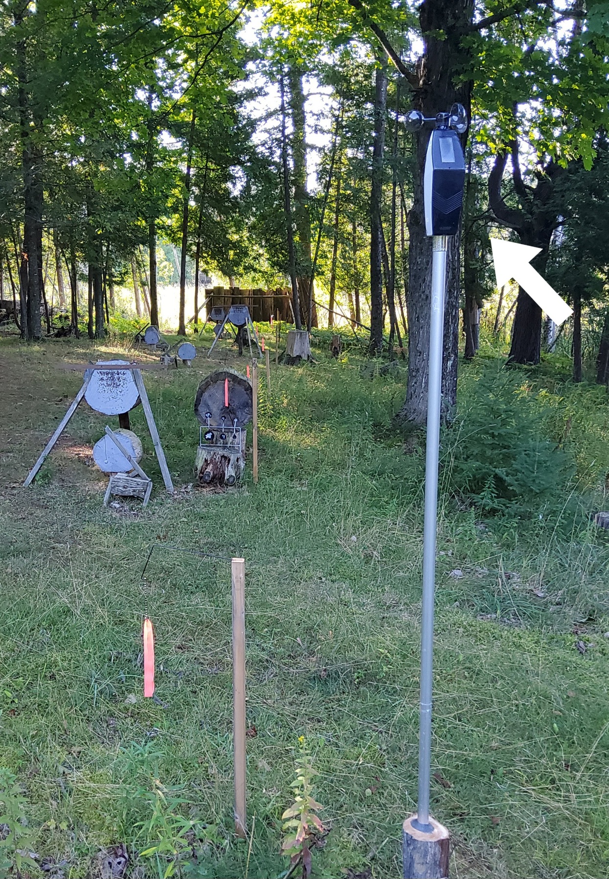 20250901_085503.jpg