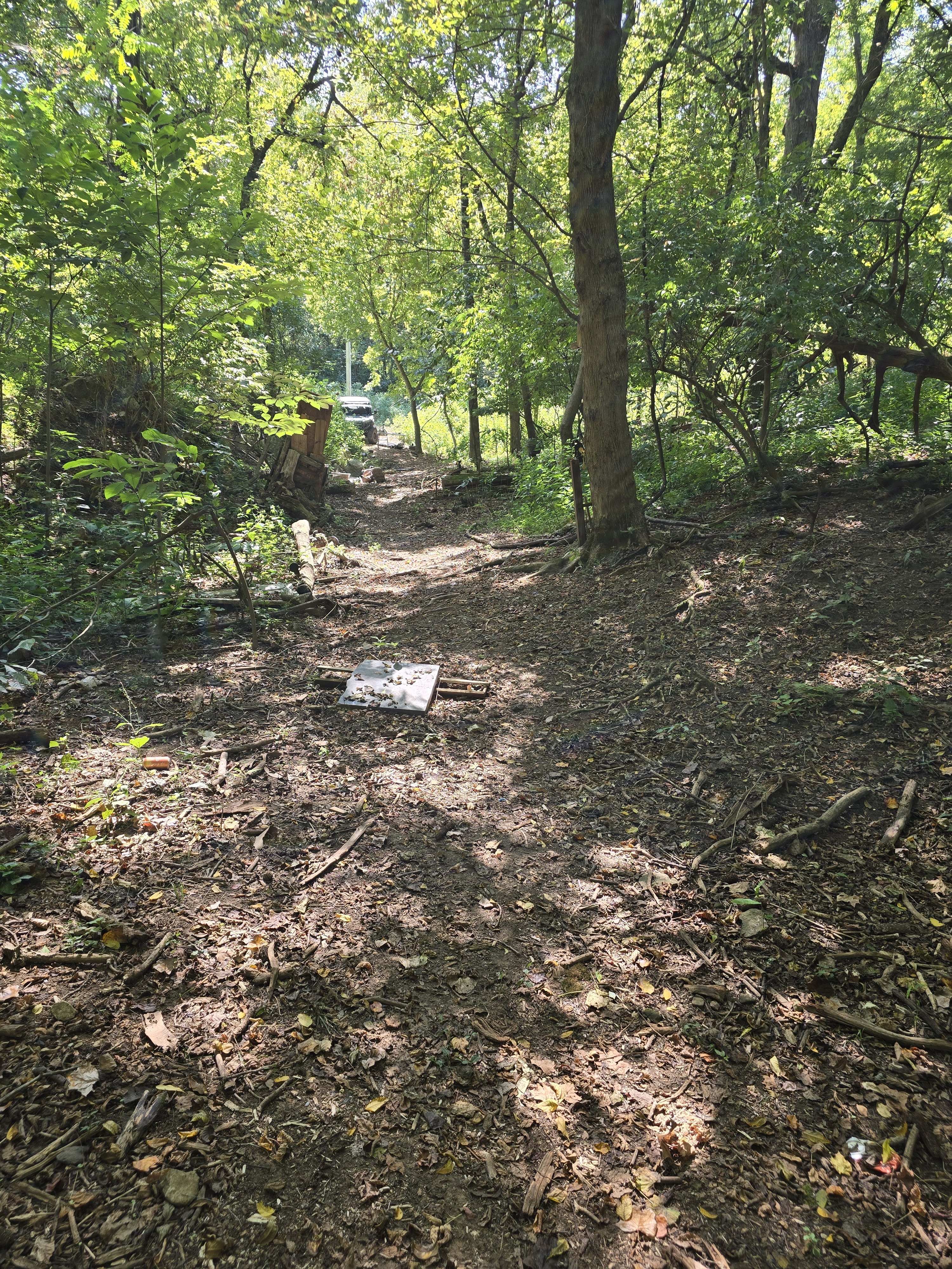 20250909_114533.jpg