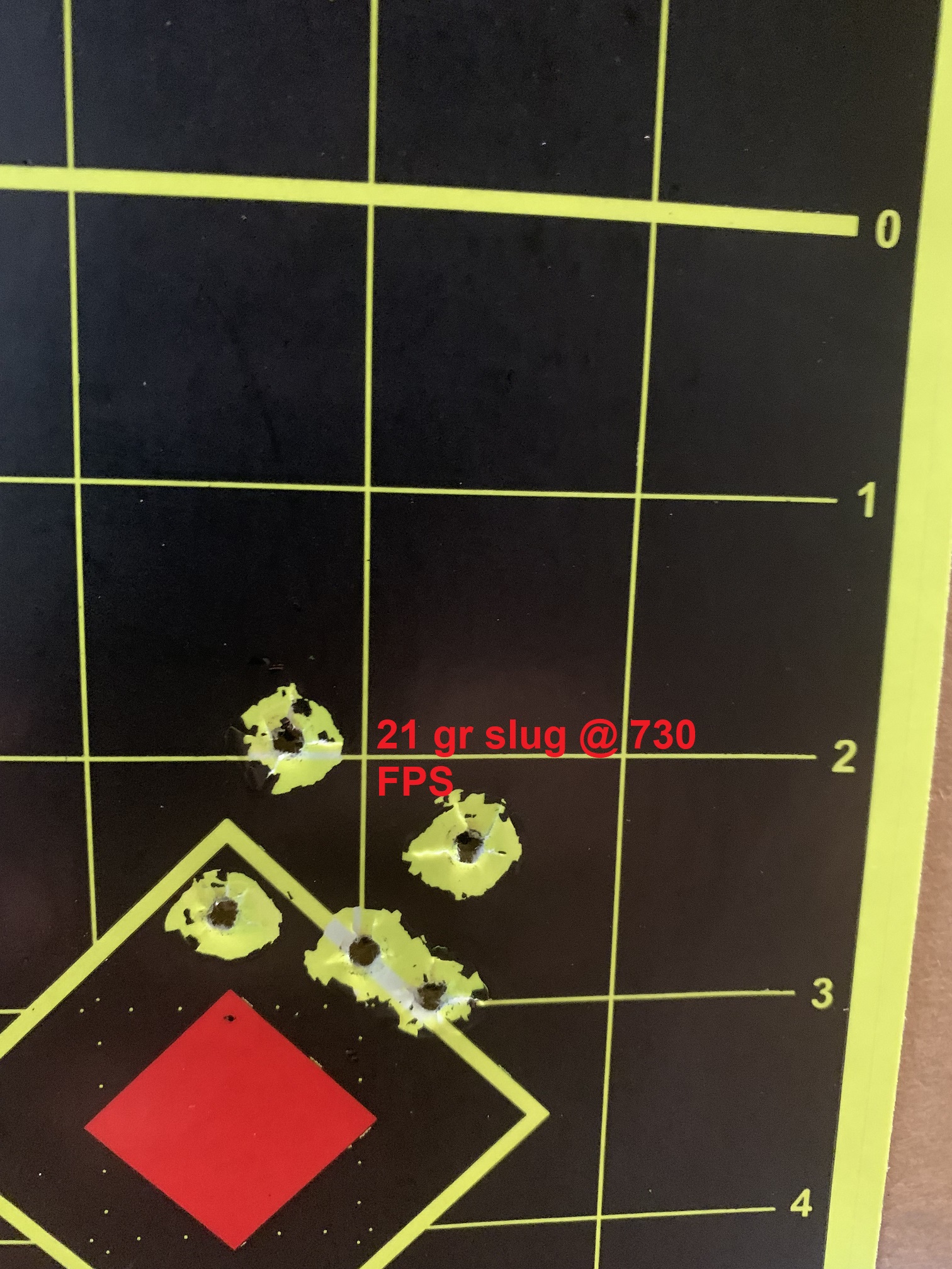 21 gr HN slugs.JPG