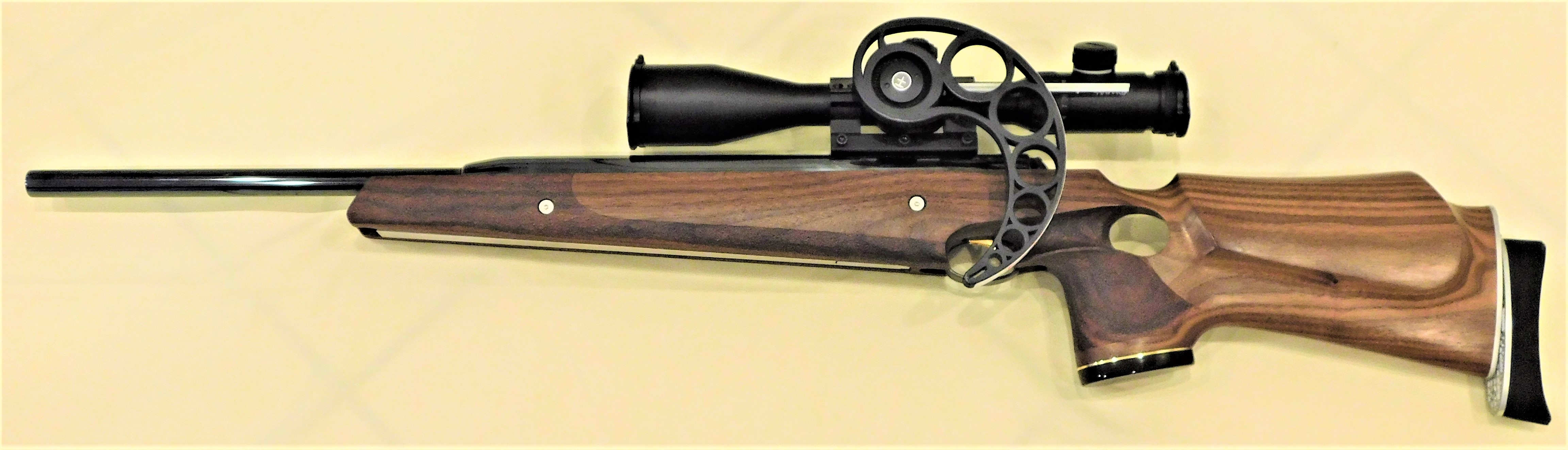 216 Air Arms Pro Sport custom stock.JPG