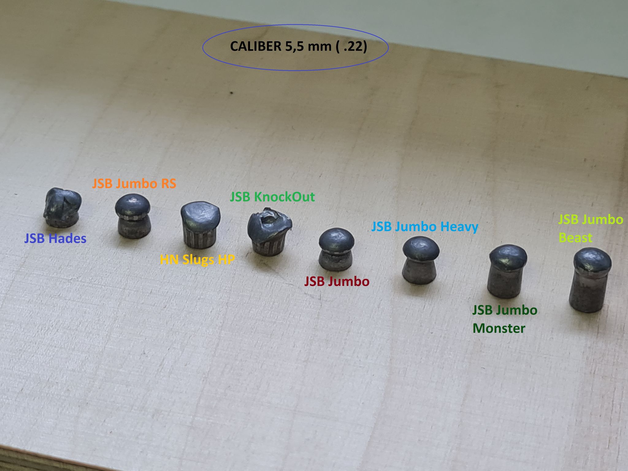 .22 pellets.1615991290.jpg