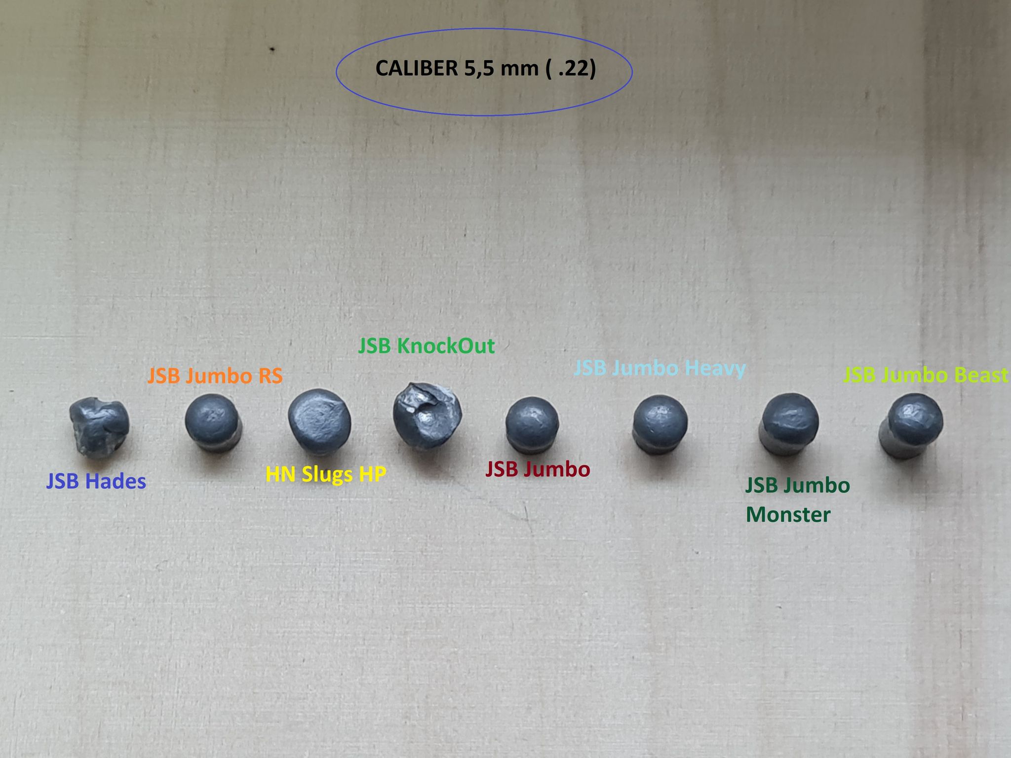 .22 pellets 2.1615991289.jpg
