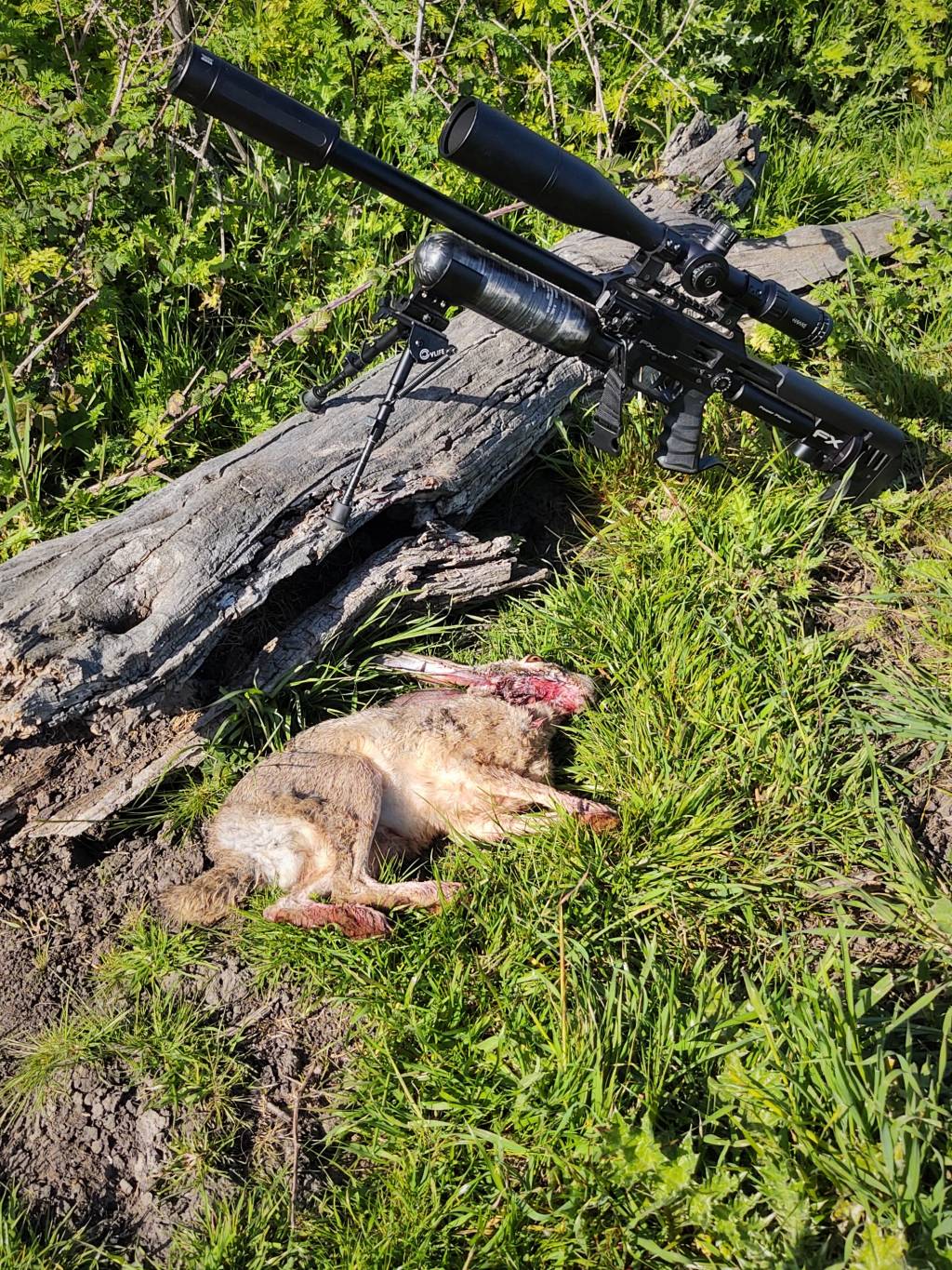 225yardjack26.8nsa.1648771810.jpg