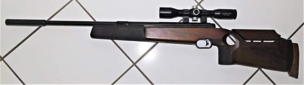 228 Running Boar.1627833333.JPG