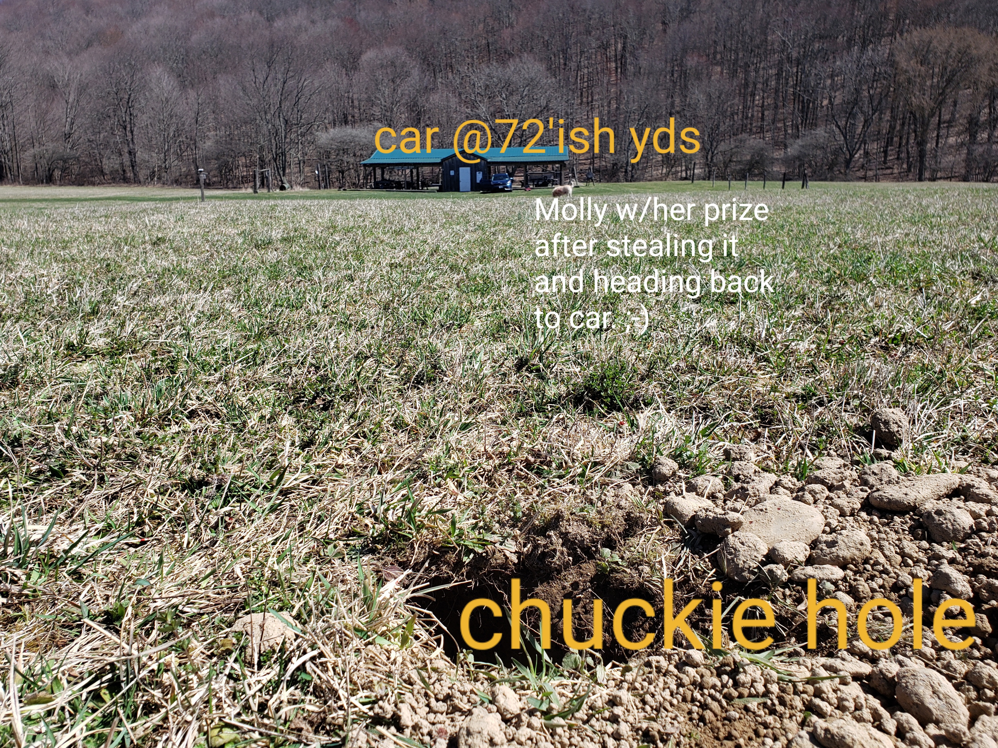 22vet-72yds-chuck1_for_2023.jpg