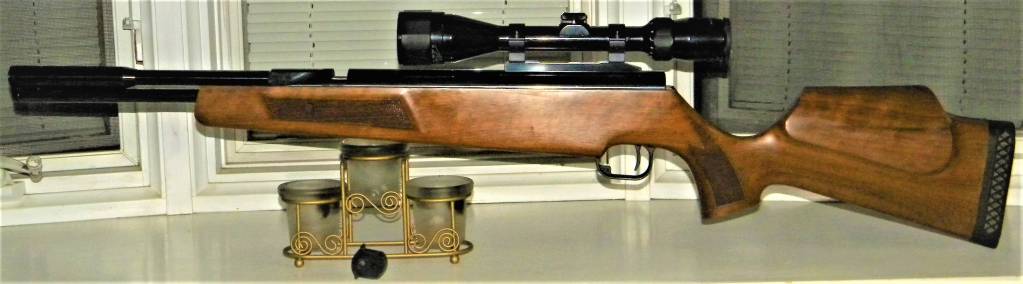 243 Theoben SLR98 carbine 2009 .22.1599851136.JPG