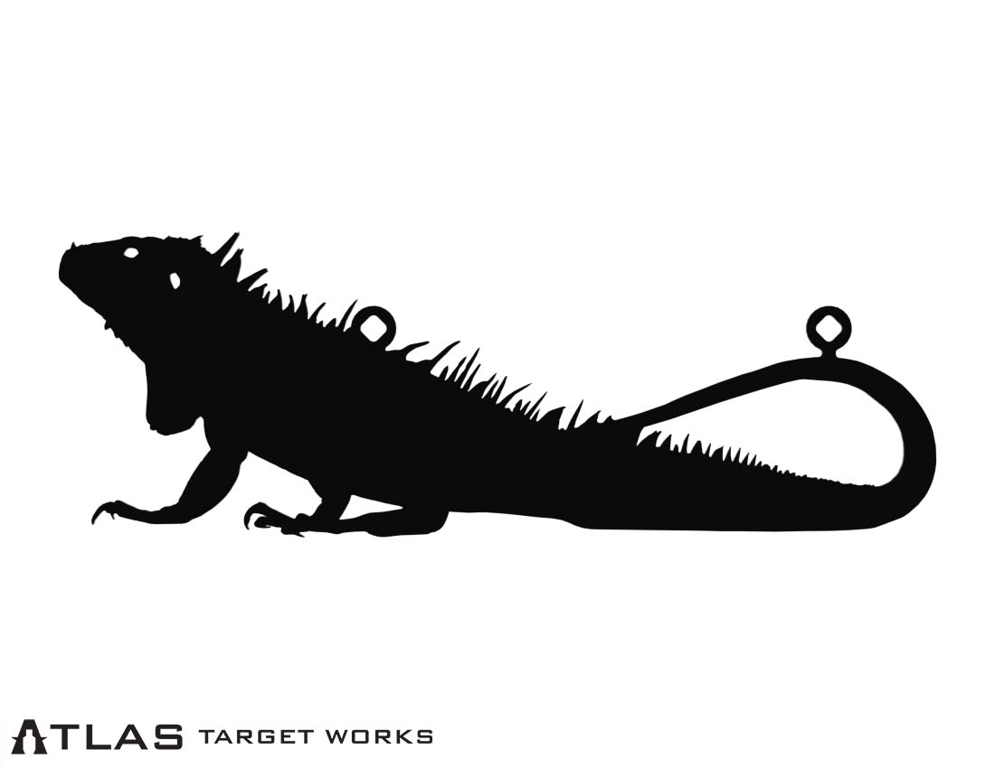 24in Iguana.jpg