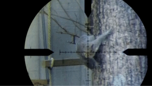 2502DD15-DEB5-4BA4-AC8C-DF718C60551C.1606069637.gif