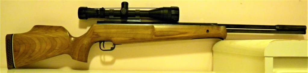 254 Theoben Dual Magnum.1599850756.JPG