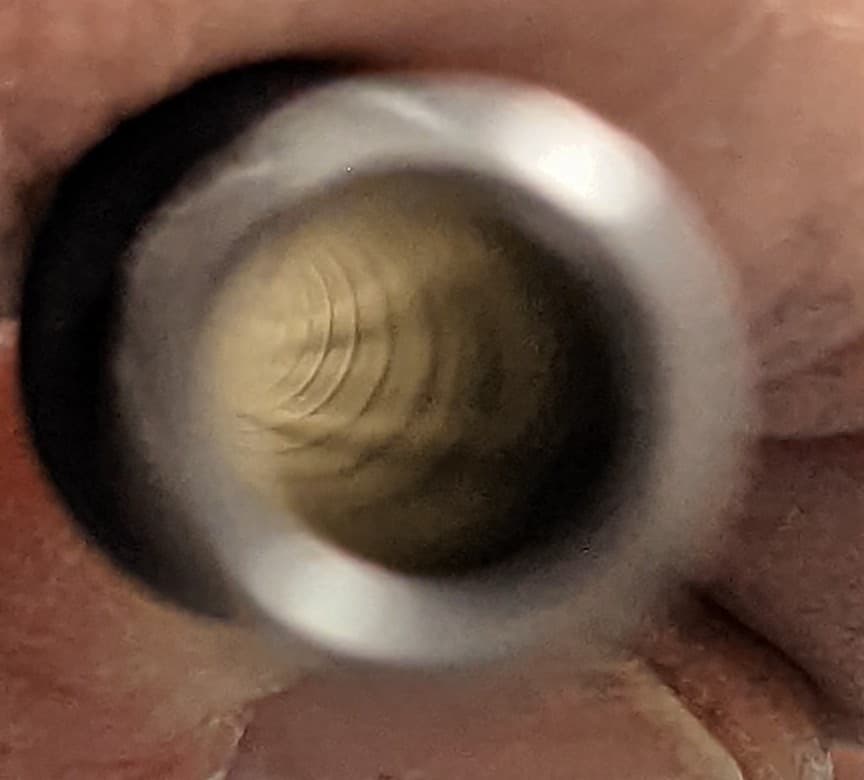 278173136_723778738663171_4411019934032340750_n.1651038082.jpg