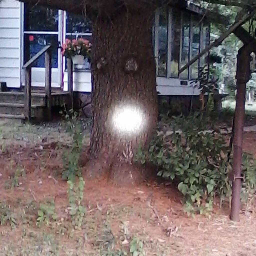 29yds.1628385098.jpg