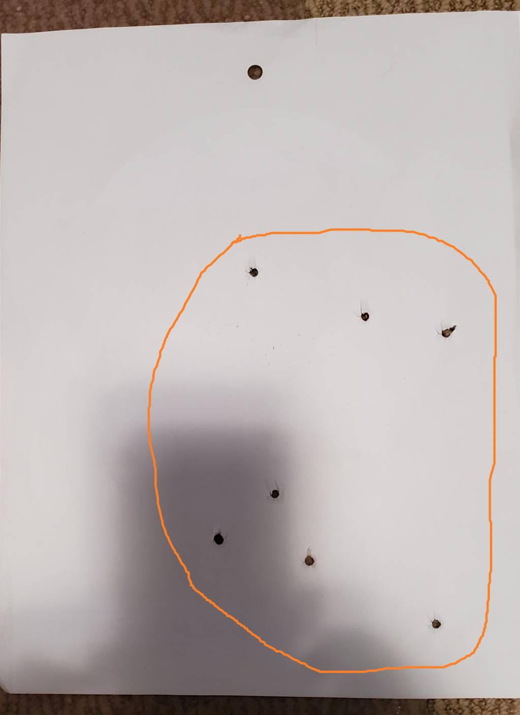2back.1651893672.jpg