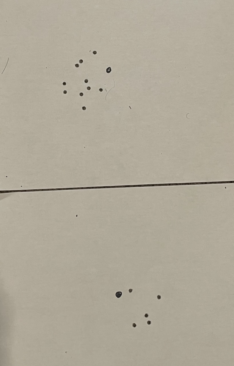 2D53F759-5AA5-4C74-937E-6670218076A2.1631816108.jpeg