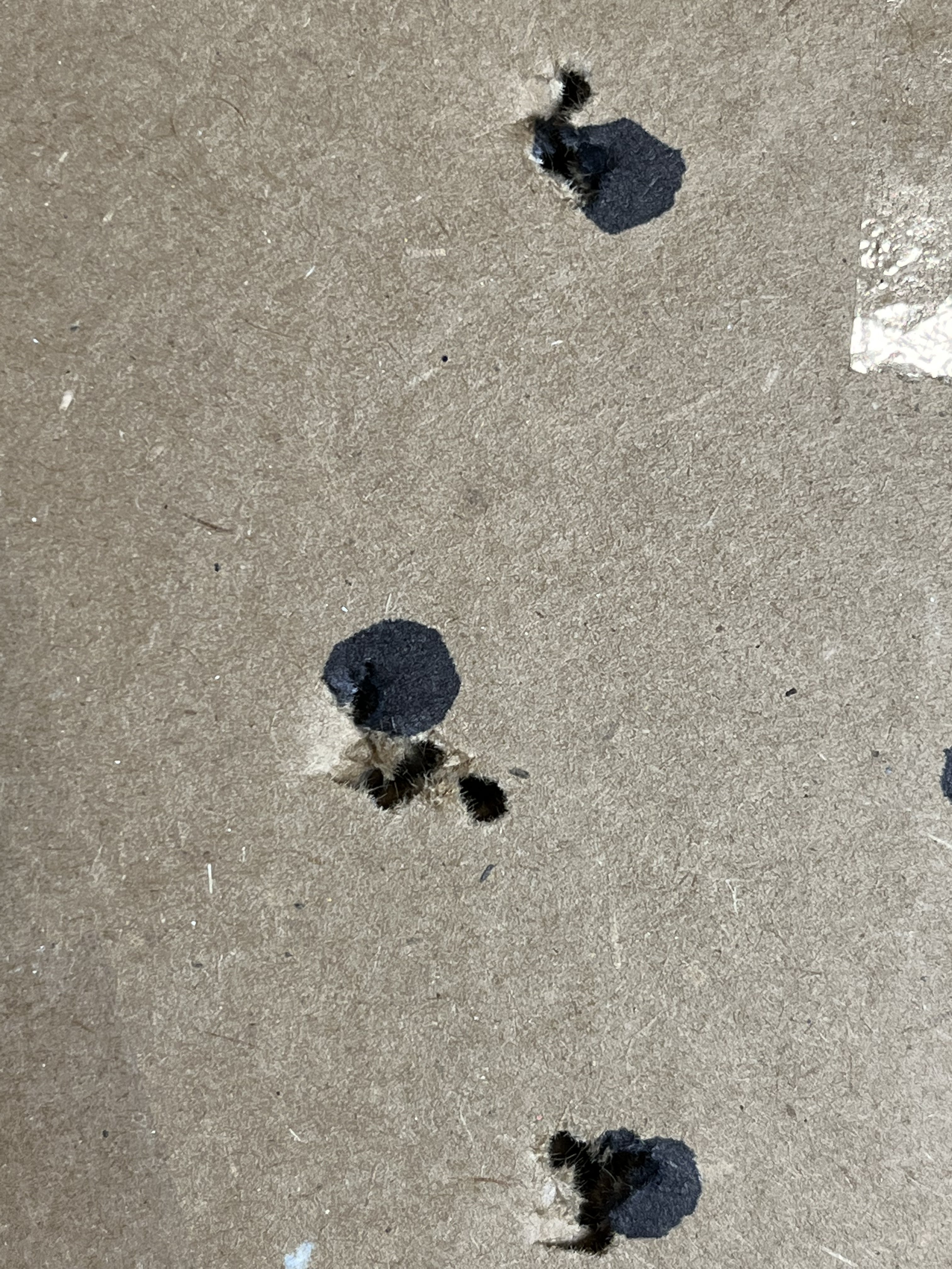 2E4417F2-9DA8-46DE-A65E-B7ED3218F67D.jpeg