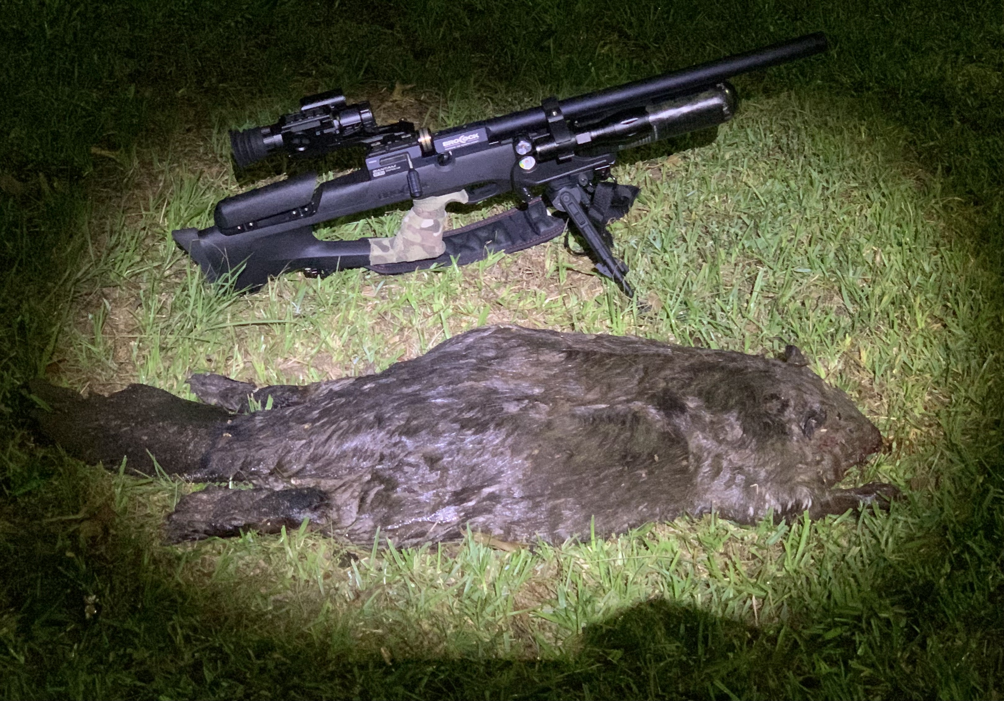 2nd Beaver & B. Cock w:Pard.jpeg