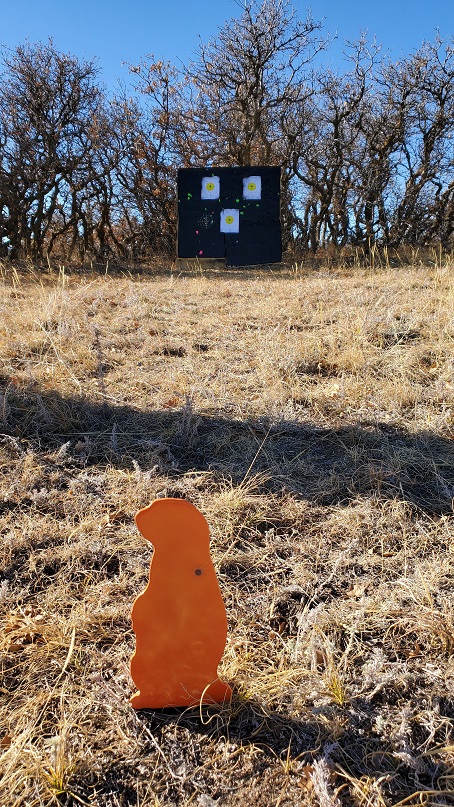 3.1624582541.jpg