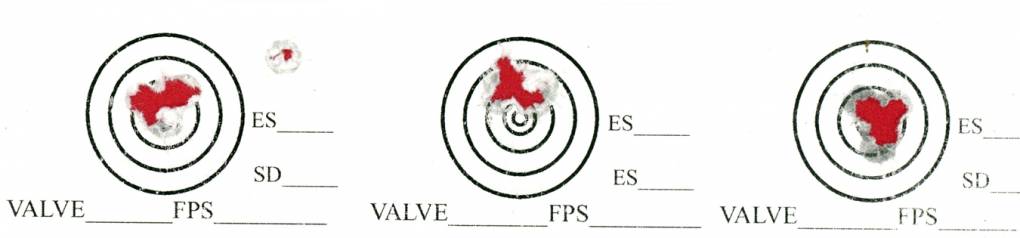 3 - 5 shot targets.1628916332.jpg