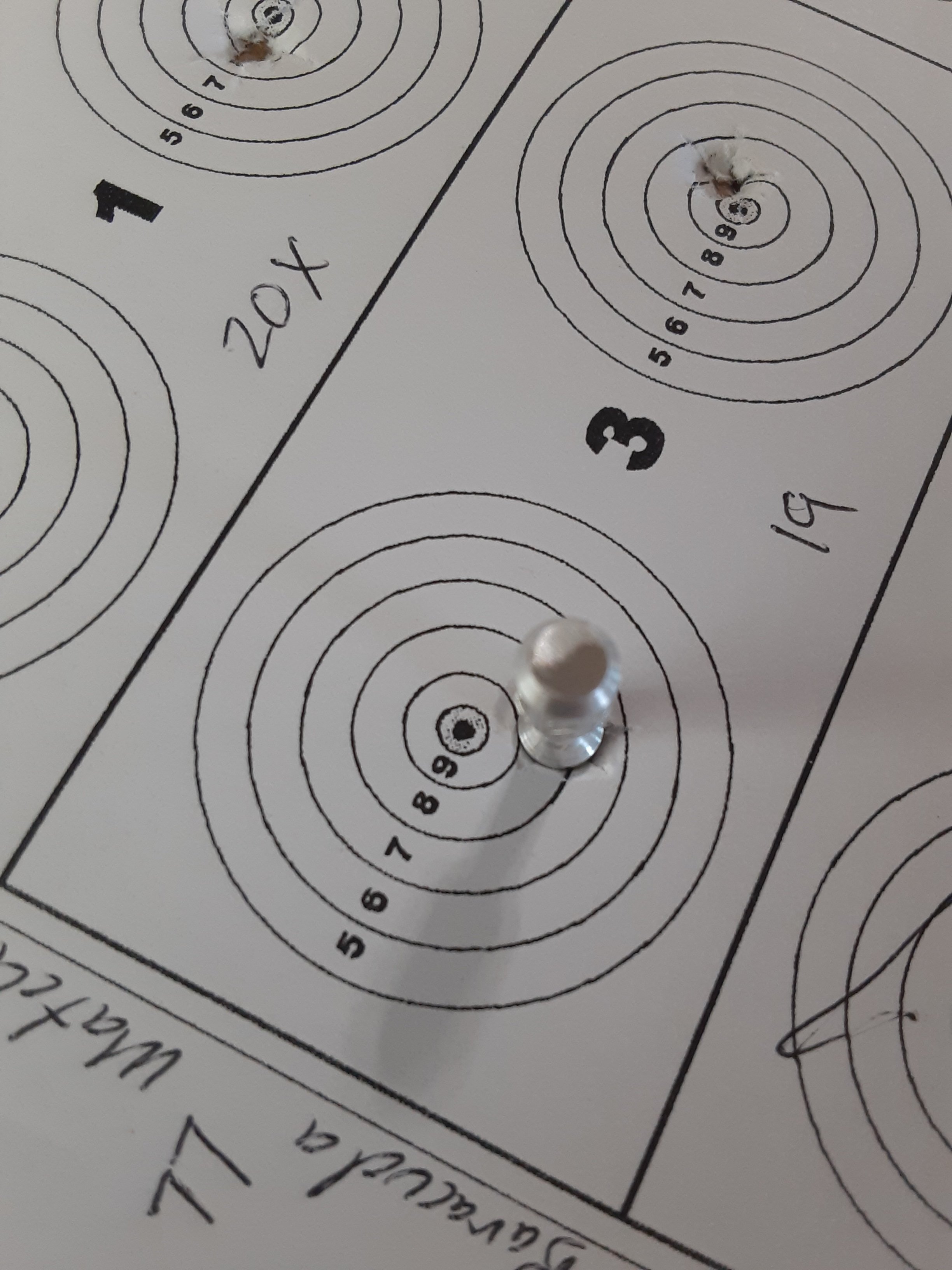 3 cell of 195 target.jpg