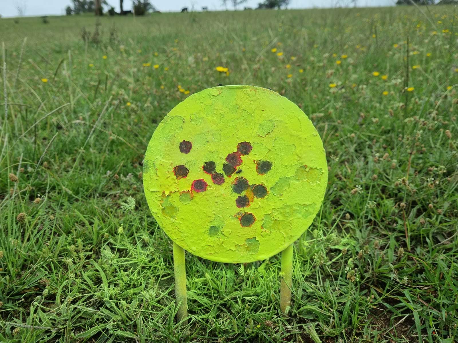 300yds-#1.jpg