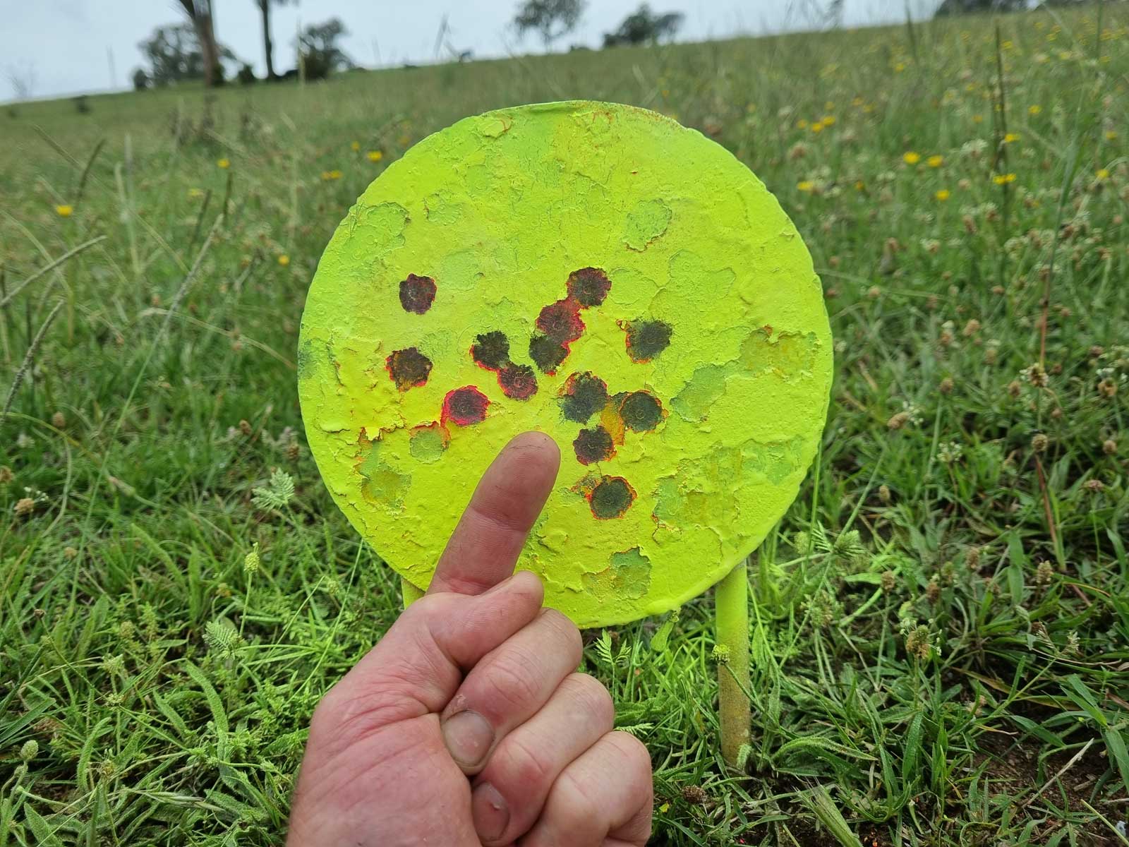 300yds-close.jpg