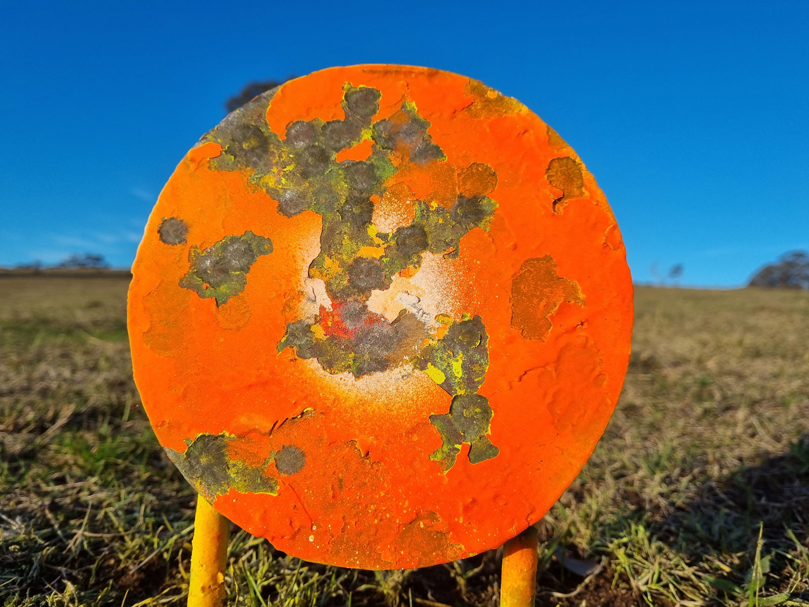 300yds-H&N-36gr.jpg