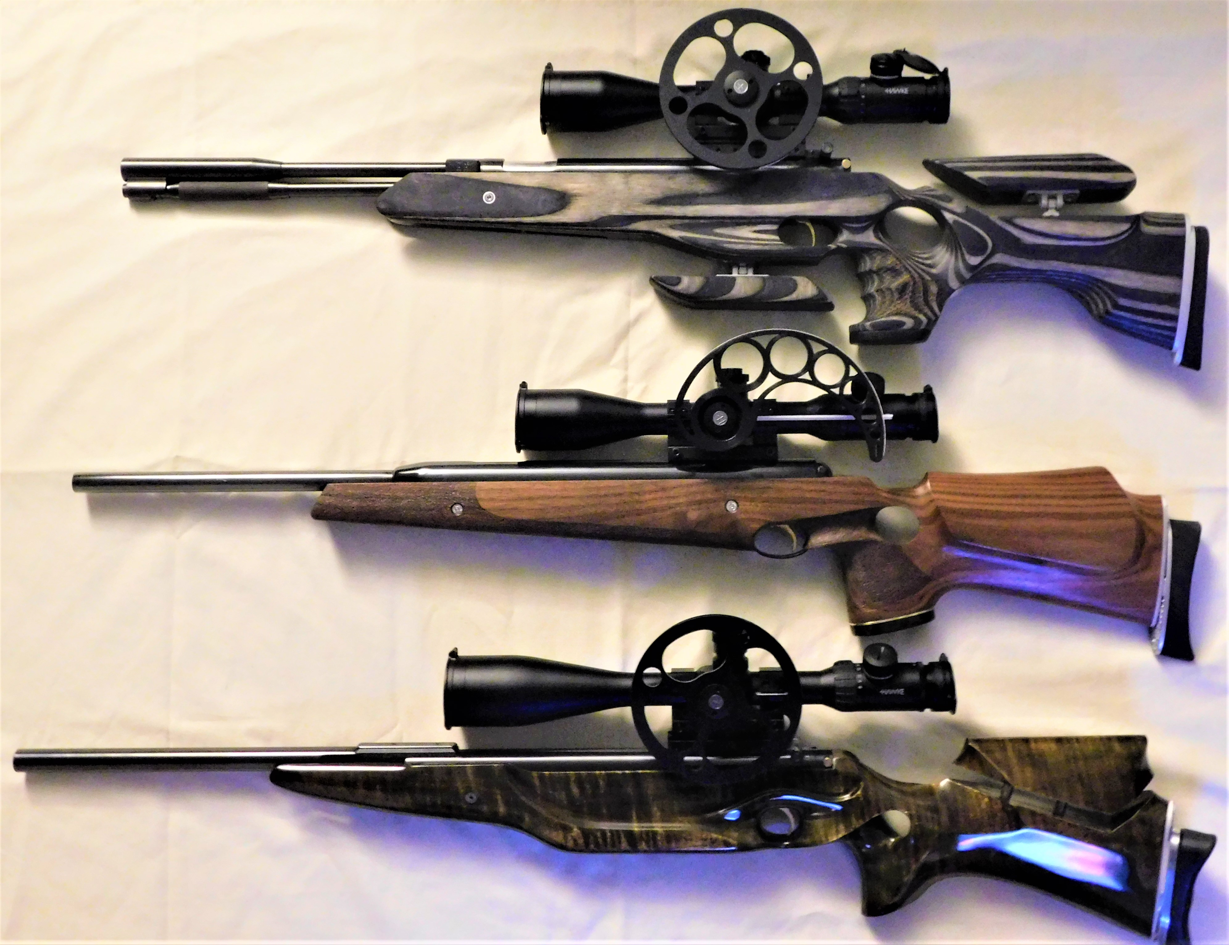 309 FT custom stock- HW97KT LP, AA PS CS800, Beeman R9 P Bishop.JPG