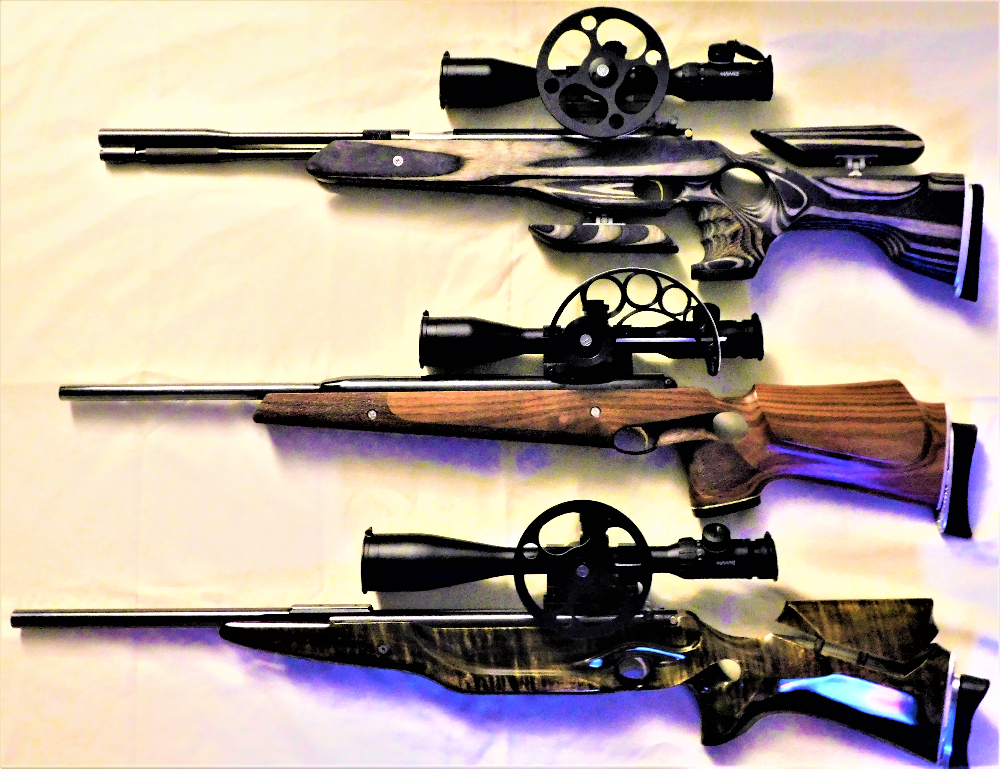 309 FT custom stock- HW97KT LP, AA PS CS800, Beeman R9 P Bishop.JPG