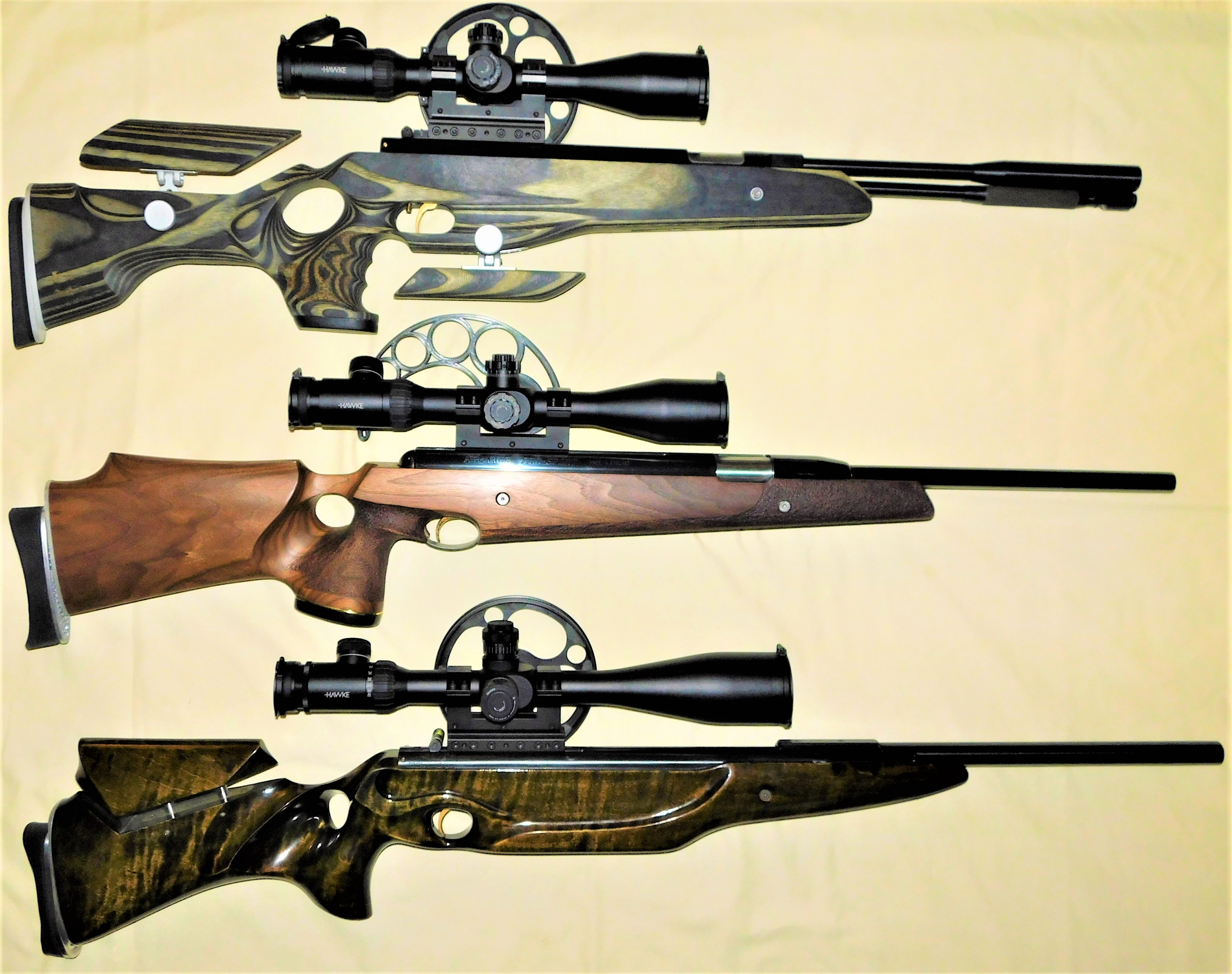 309.JPG