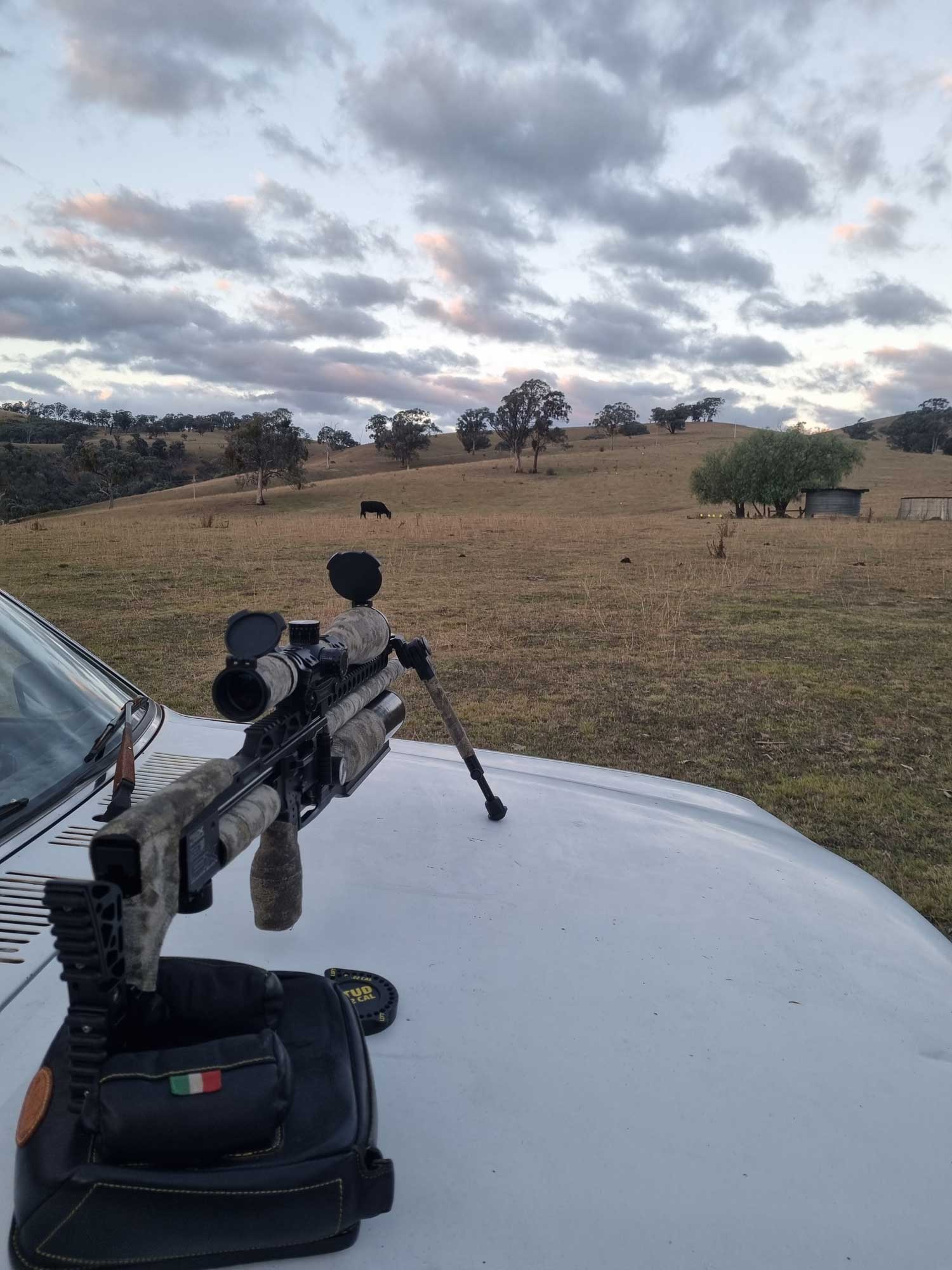 350yds-10-4-2024-M3.jpg