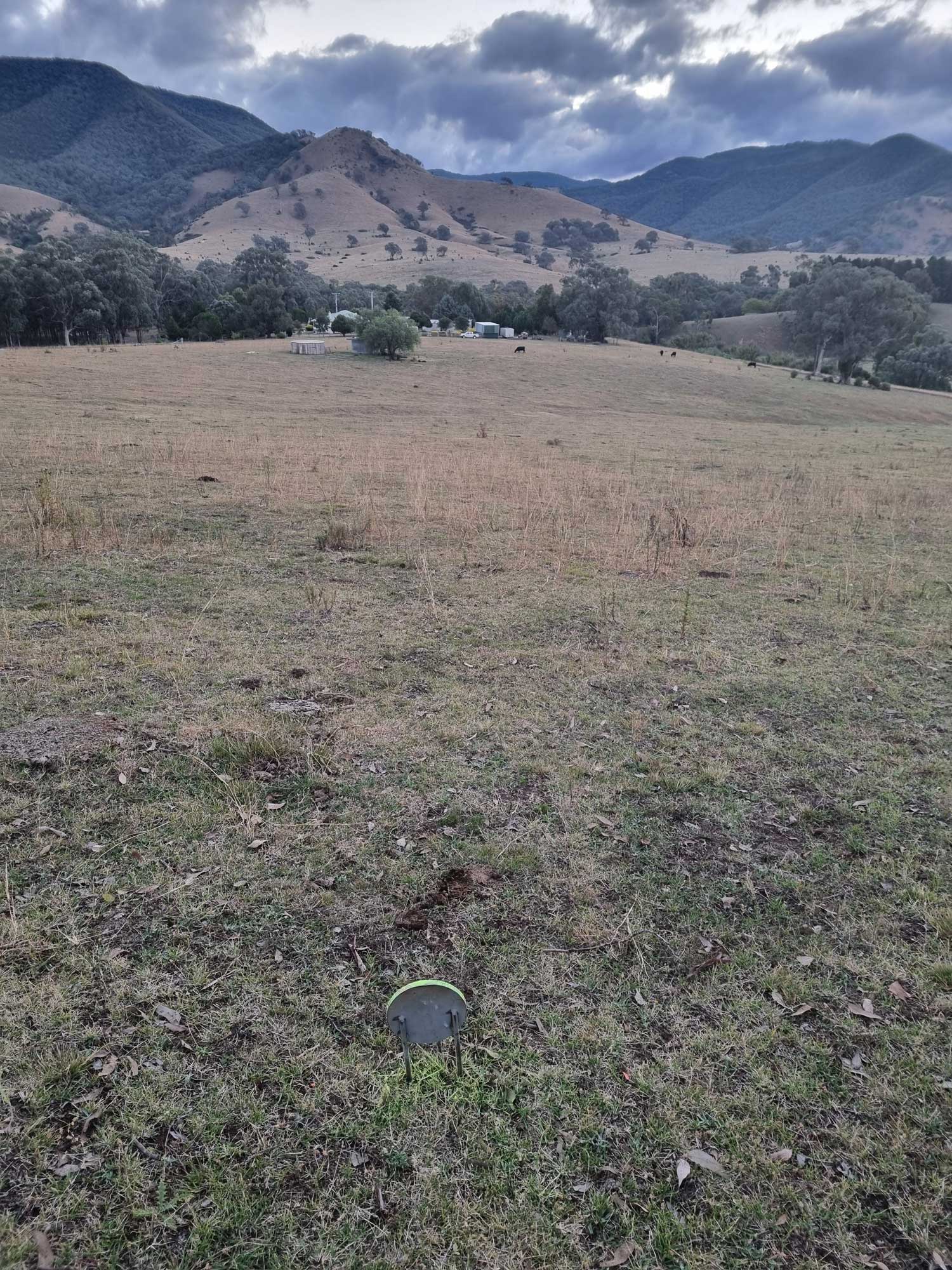 350yds-10-4-2024-plate.jpg